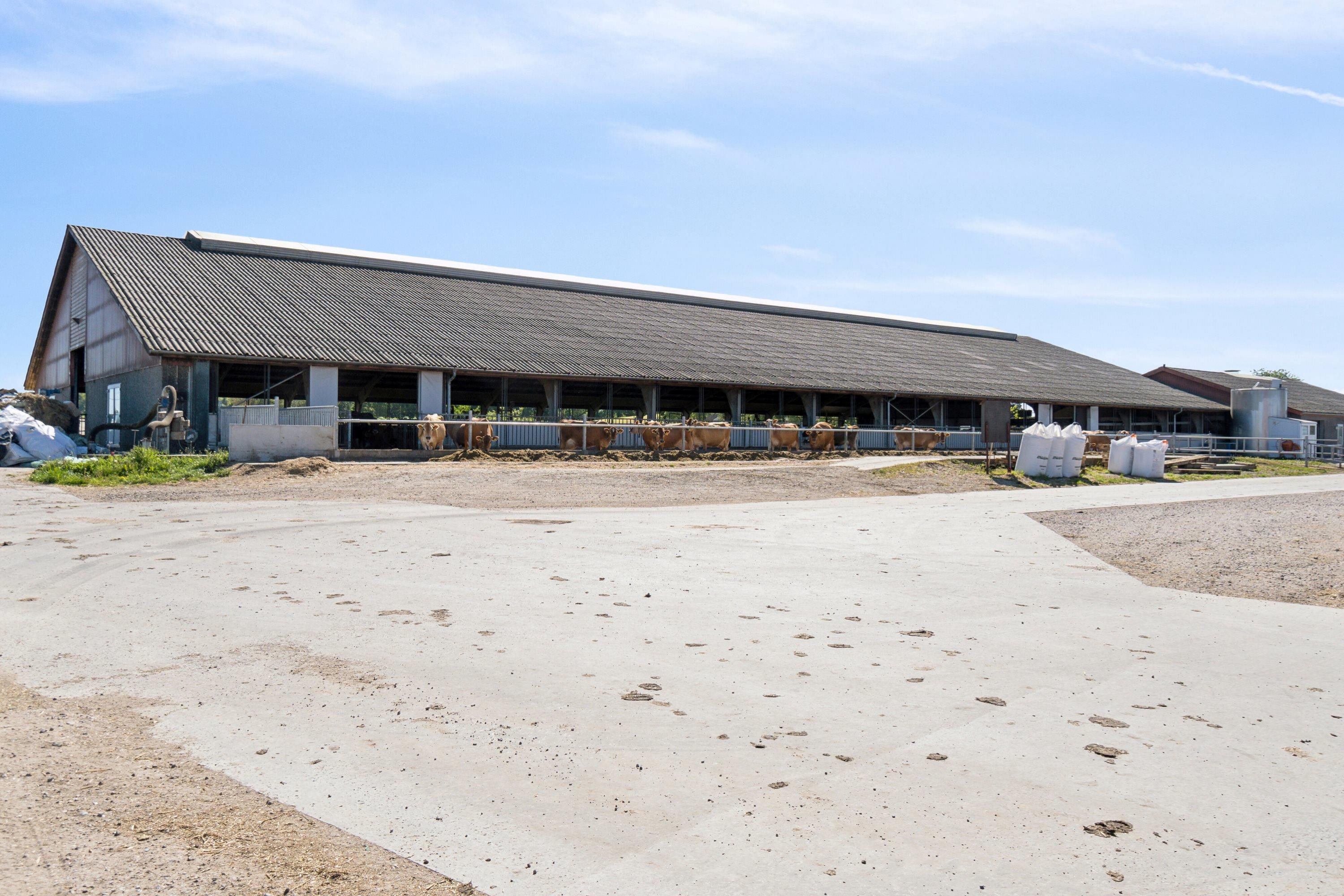 Fremhævet  billede i fuldskærmstilstand. Billede af Krogen 15, 4190 Munke Bjergby