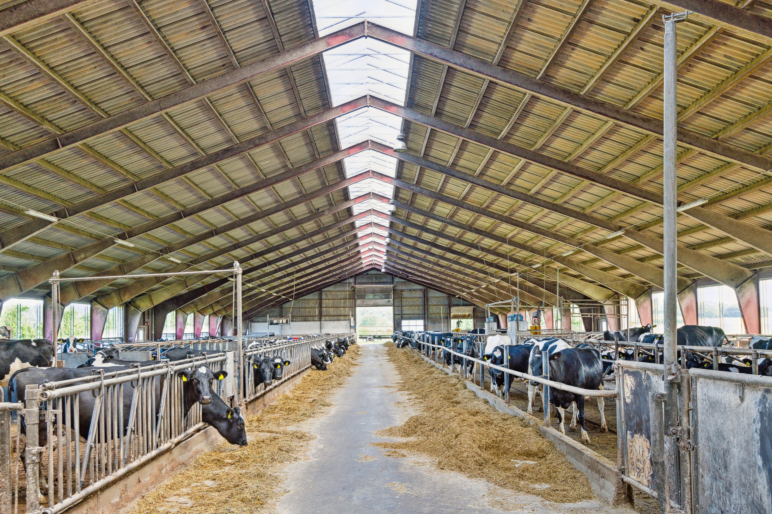 Fremhævet  billede i fuldskærmstilstand. Billede af Farsøvej 173, Fredbjerg, 9640 Farsø