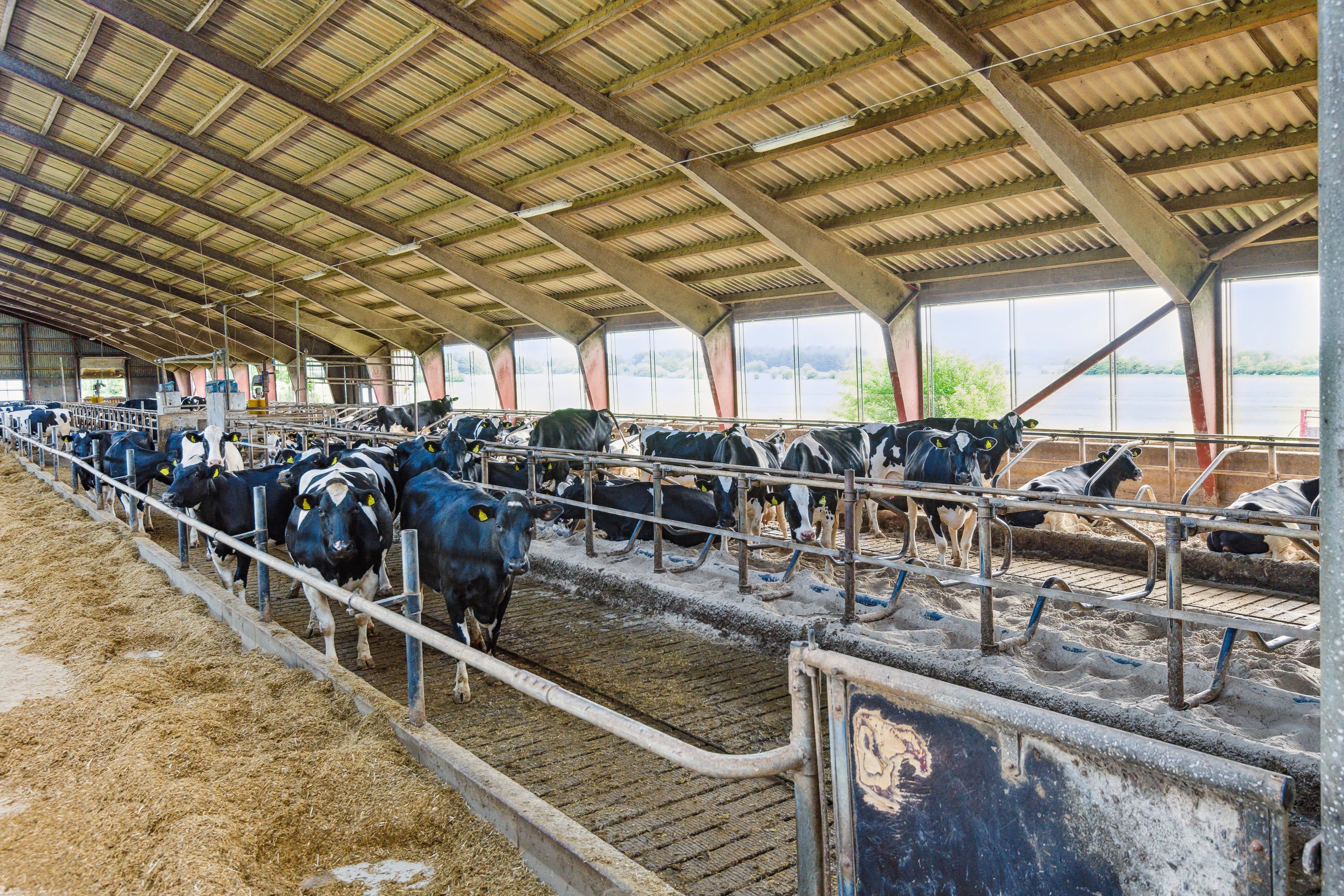 Fremhævet  billede i fuldskærmstilstand. Billede af Farsøvej 173, Fredbjerg, 9640 Farsø