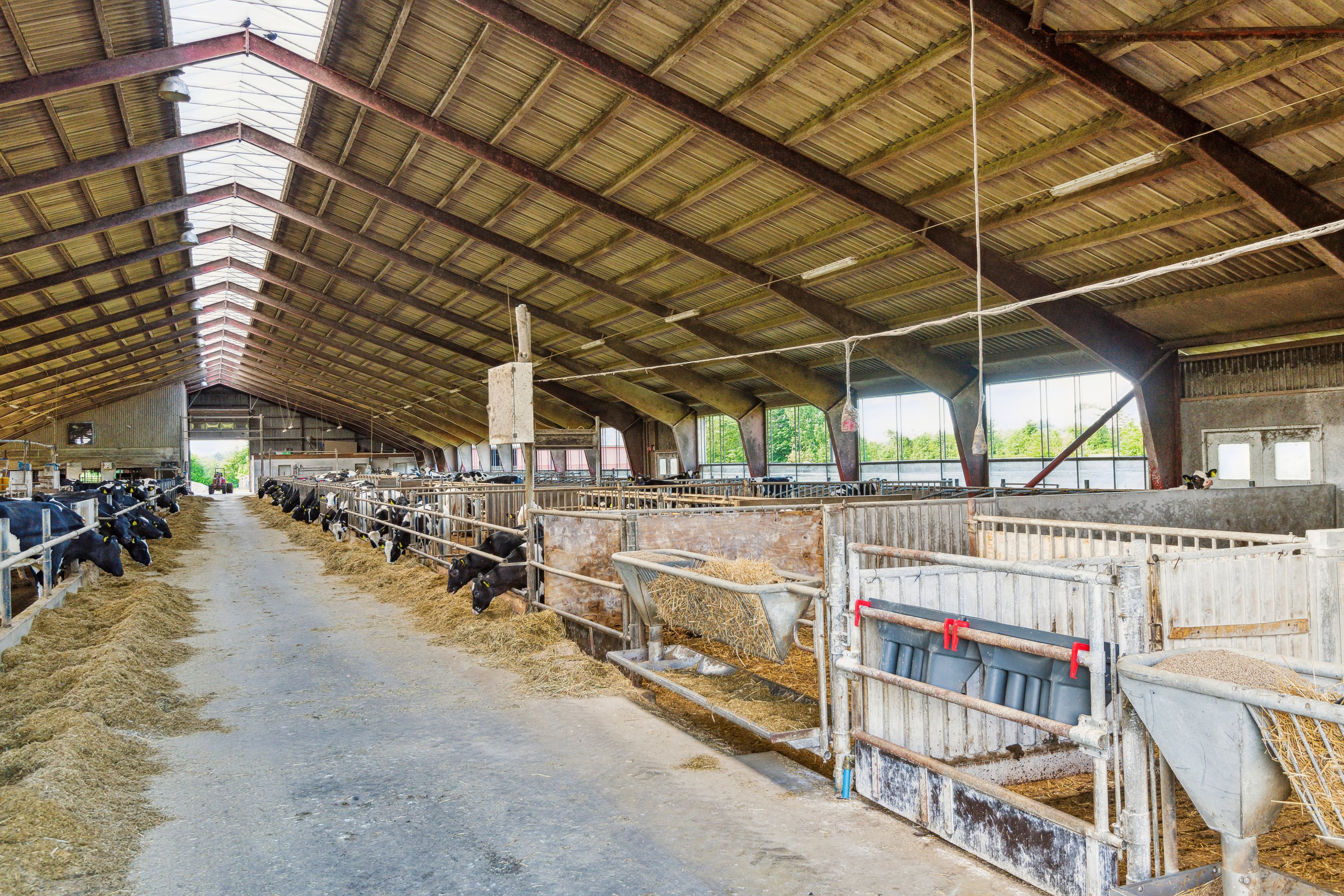 Fremhævet  billede i fuldskærmstilstand. Billede af Farsøvej 173, Fredbjerg, 9640 Farsø