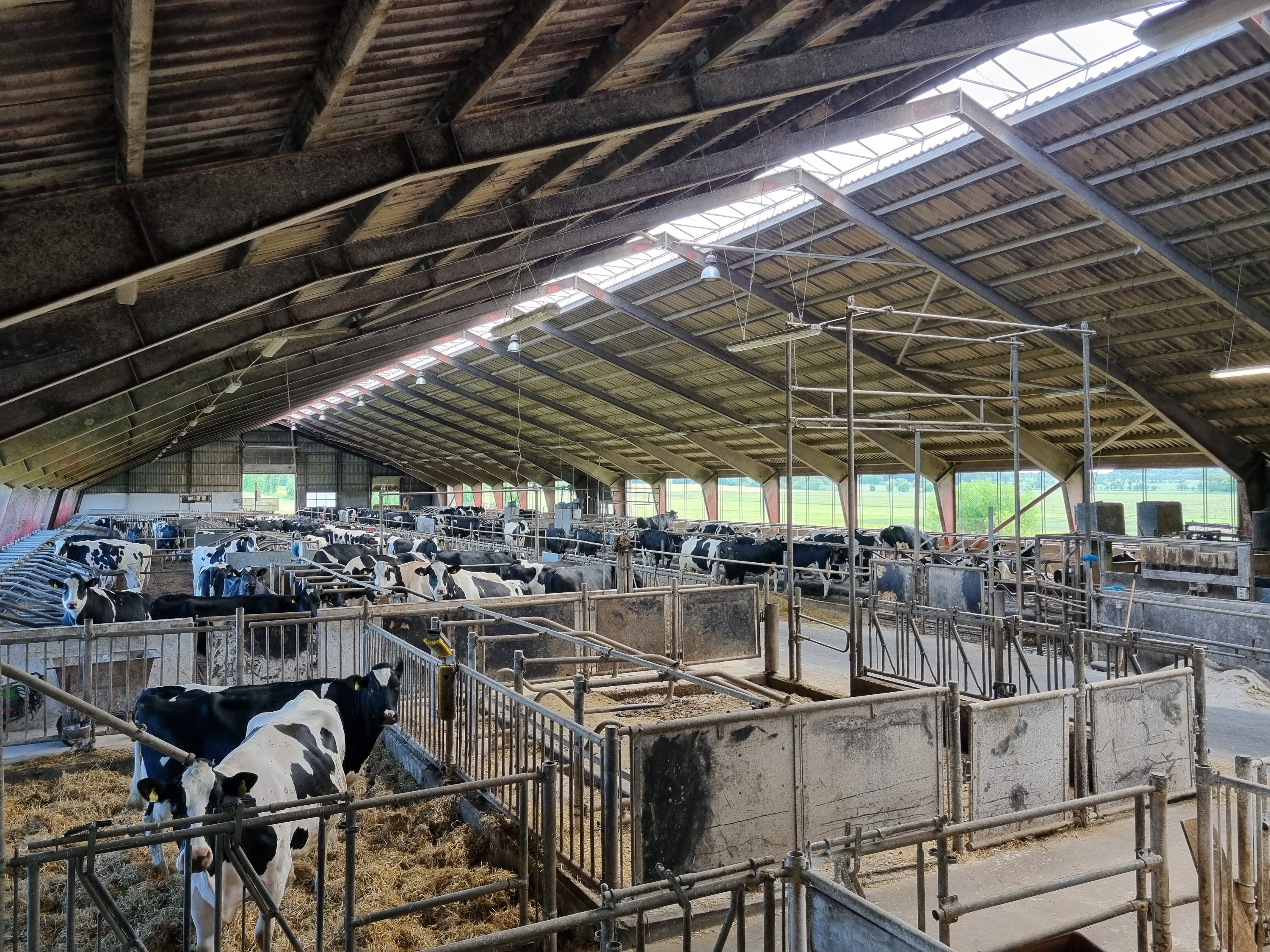 Fremhævet  billede i fuldskærmstilstand. Billede af Farsøvej 173, Fredbjerg, 9640 Farsø