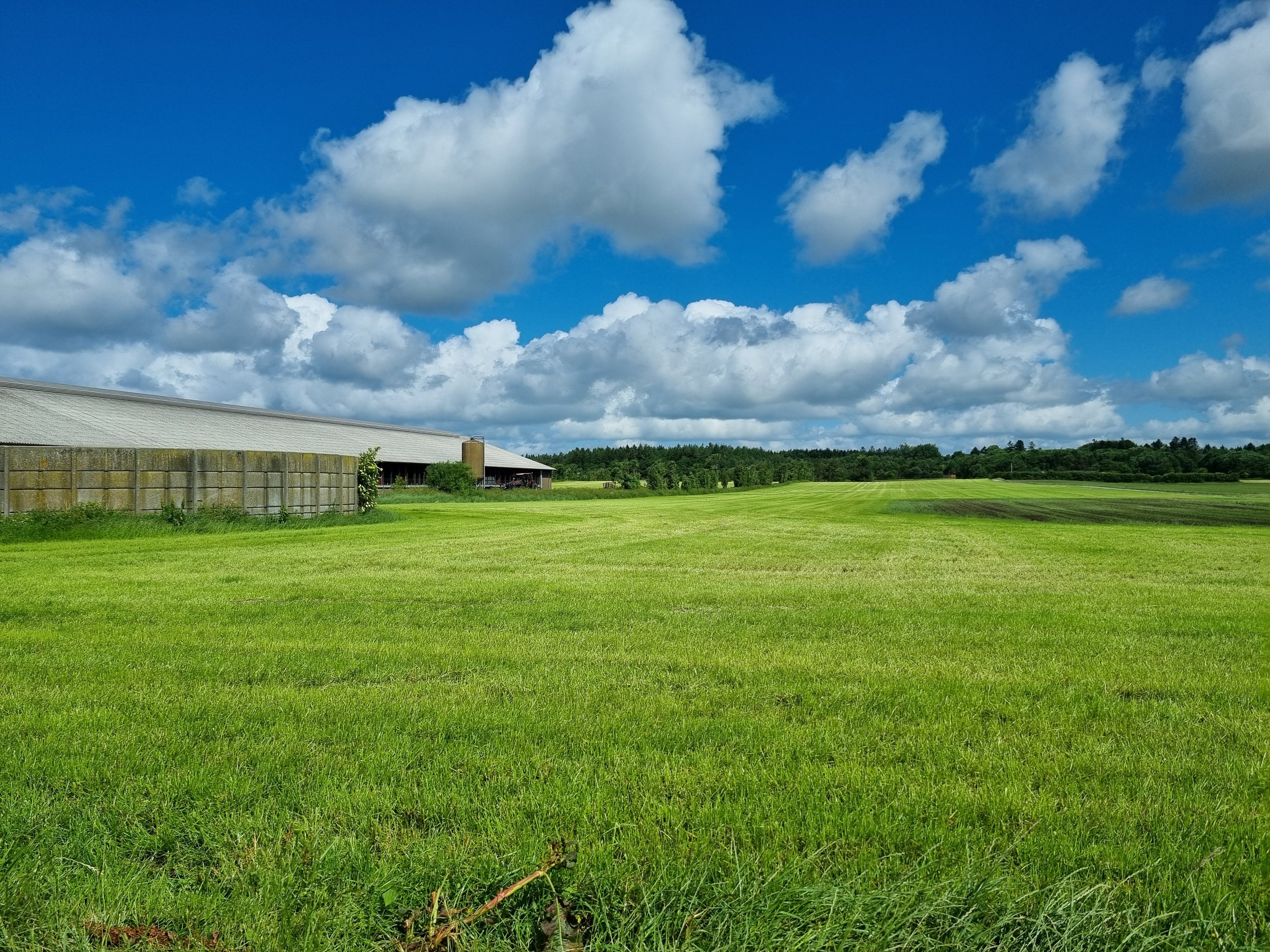 Fremhævet  billede i fuldskærmstilstand. Billede af Farsøvej 173, Fredbjerg, 9640 Farsø