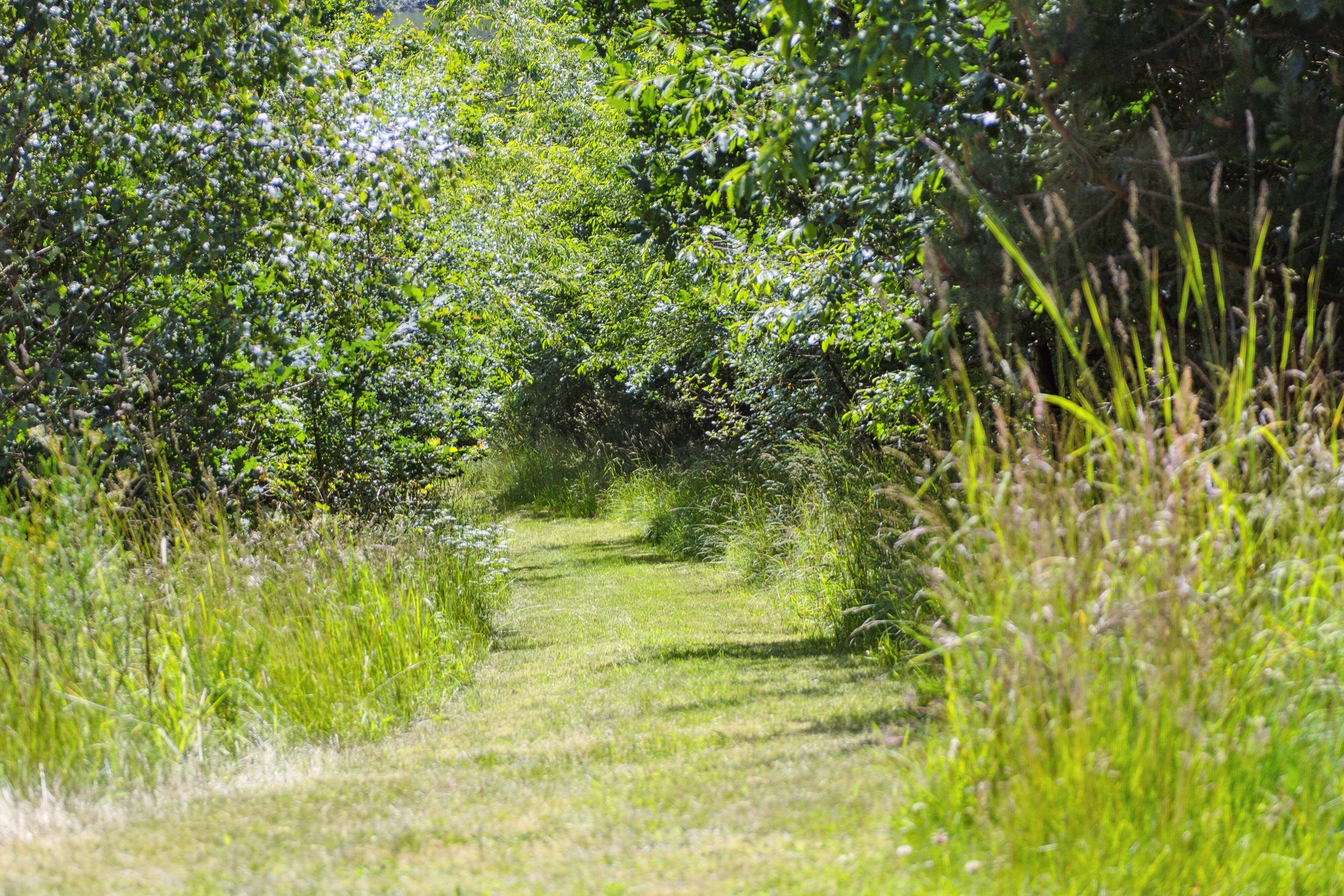 Fremhævet  billede i fuldskærmstilstand. Billede af Donstedvej 90, 9330 Dronninglund