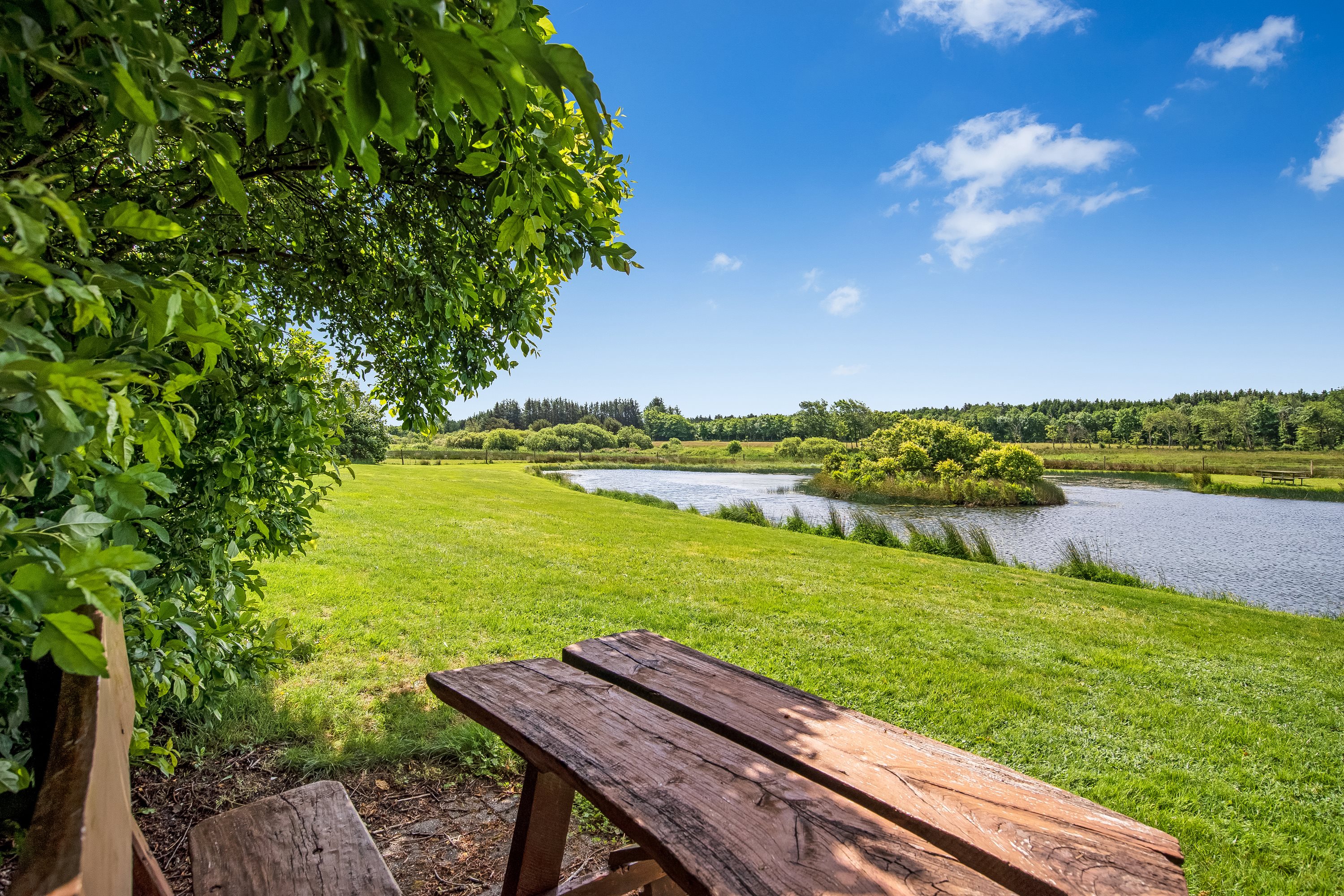 Fremhævet  billede i fuldskærmstilstand. Billede af Nymøllevej 4, Råsted, 7500 Holstebro
