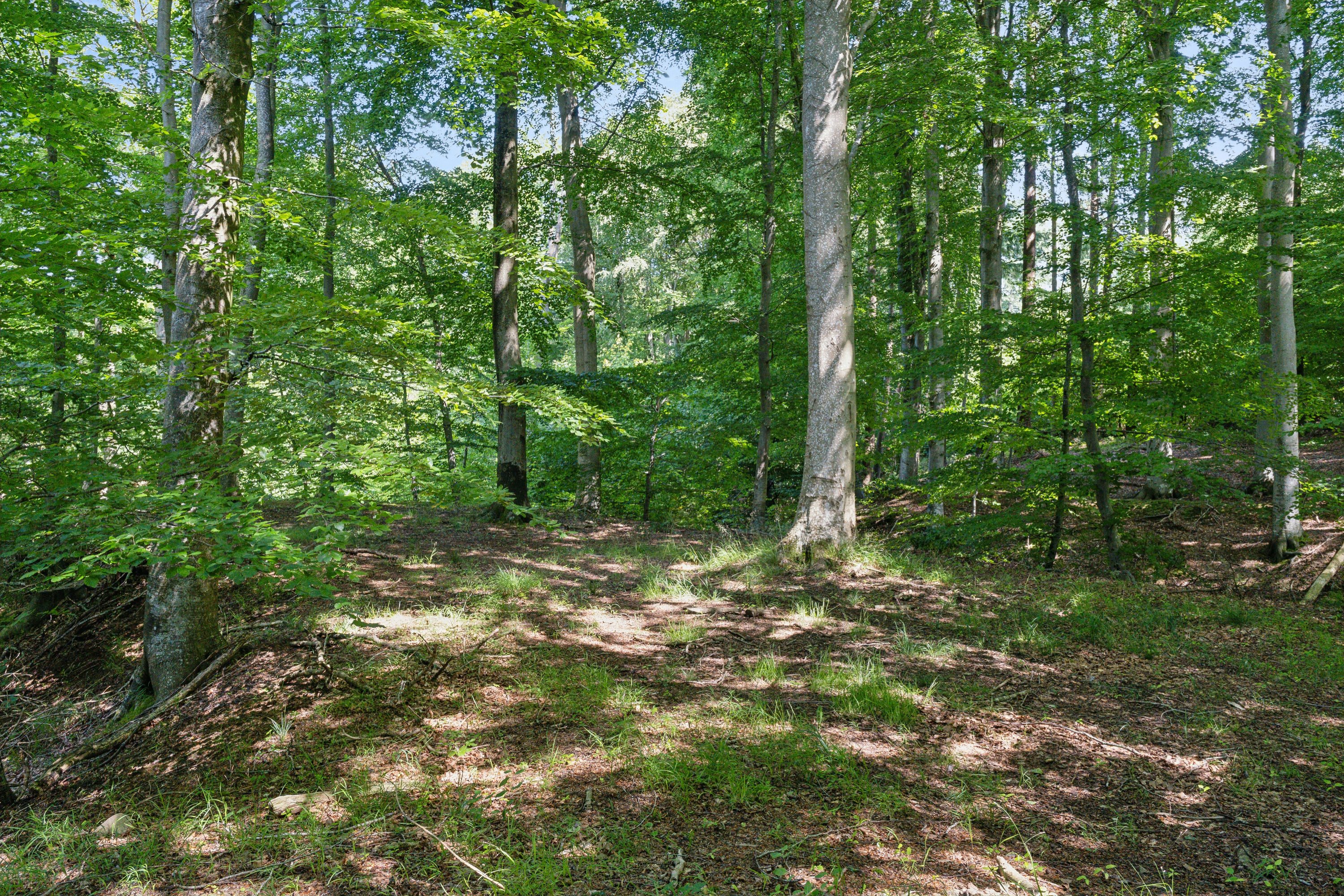 Fremhævet omgivelser billede i fuldskærmstilstand. Billede af Elverodvej 41, 5462 Morud