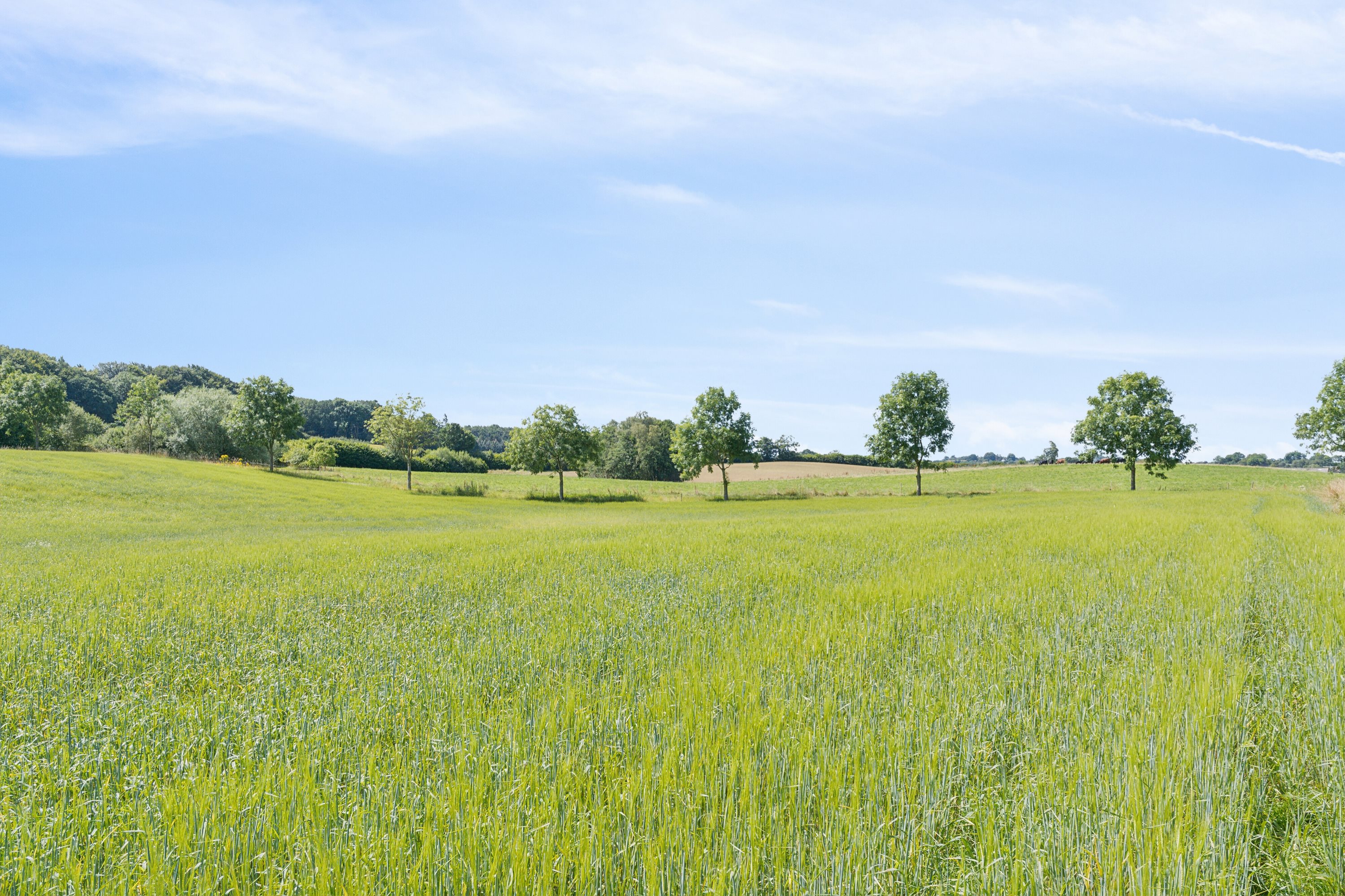 Fremhævet omgivelser billede i fuldskærmstilstand. Billede af Elverodvej 41, 5462 Morud
