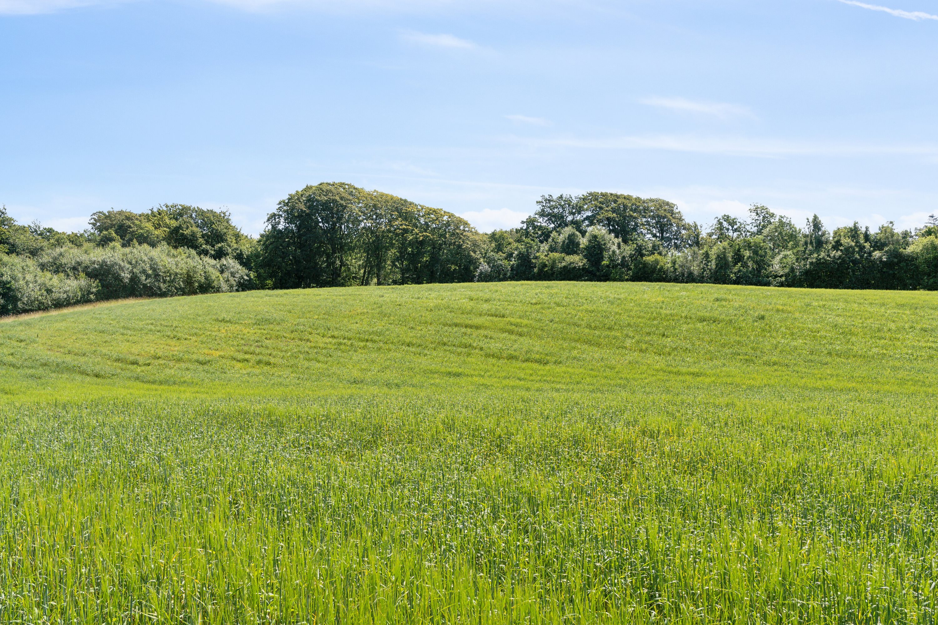 Fremhævet omgivelser billede i fuldskærmstilstand. Billede af Elverodvej 41, 5462 Morud