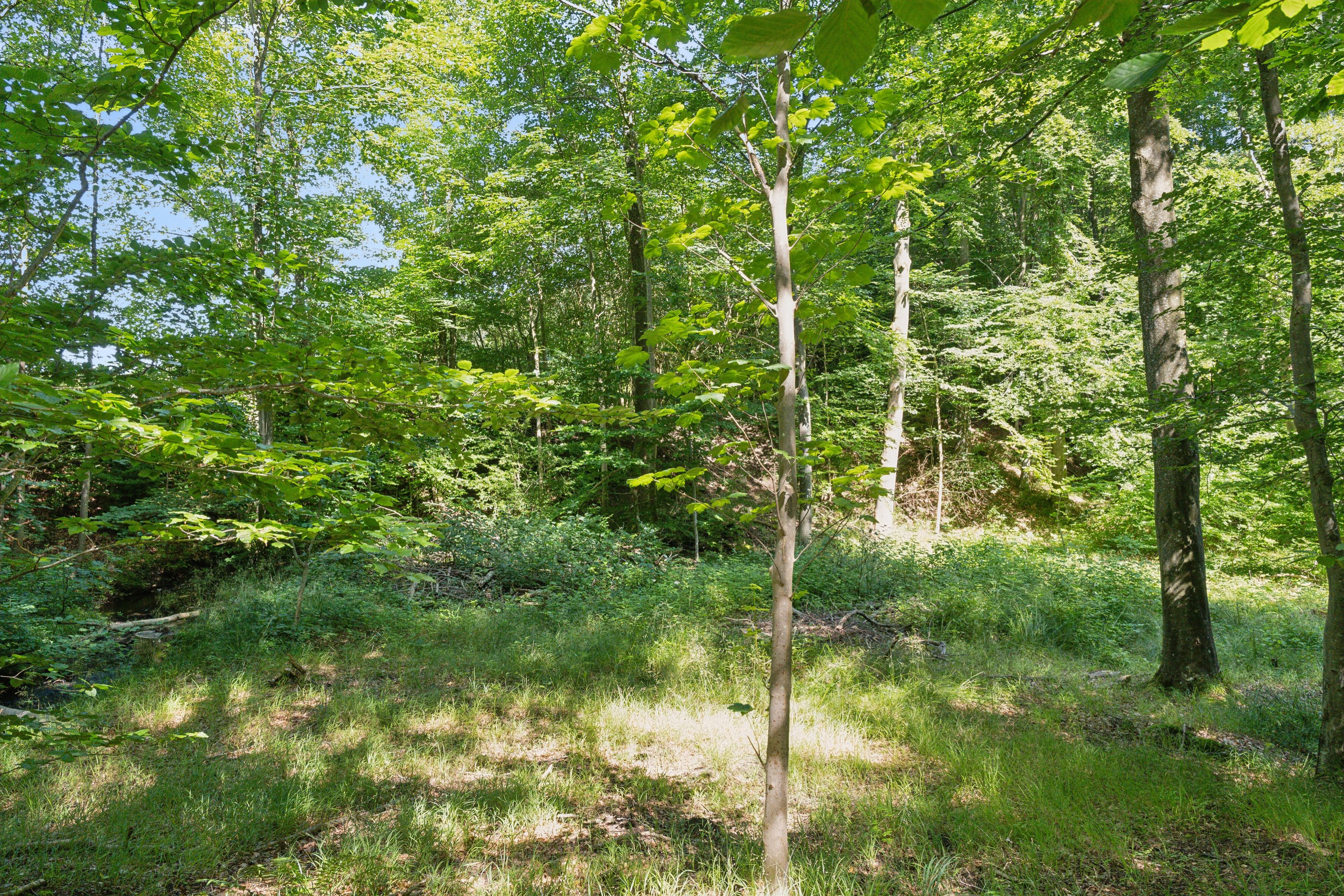 Fremhævet omgivelser billede i fuldskærmstilstand. Billede af Elverodvej 41, 5462 Morud