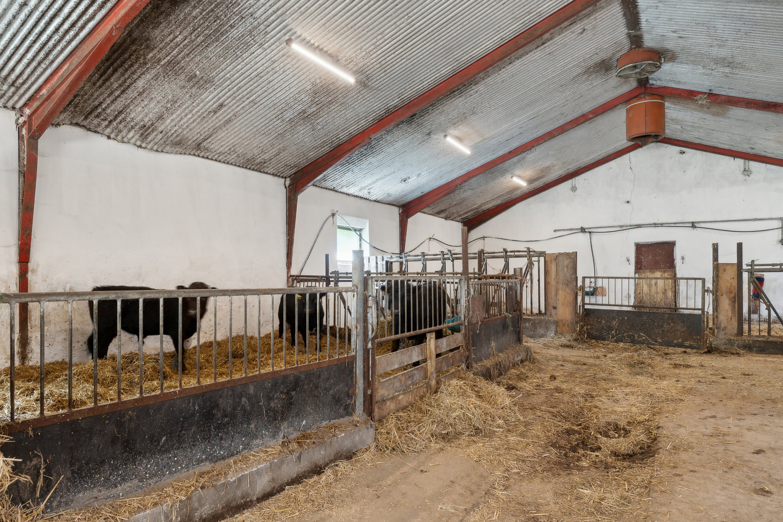 Fremhævet stald billede i fuldskærmstilstand. Billede af Elverodvej 41, 5462 Morud