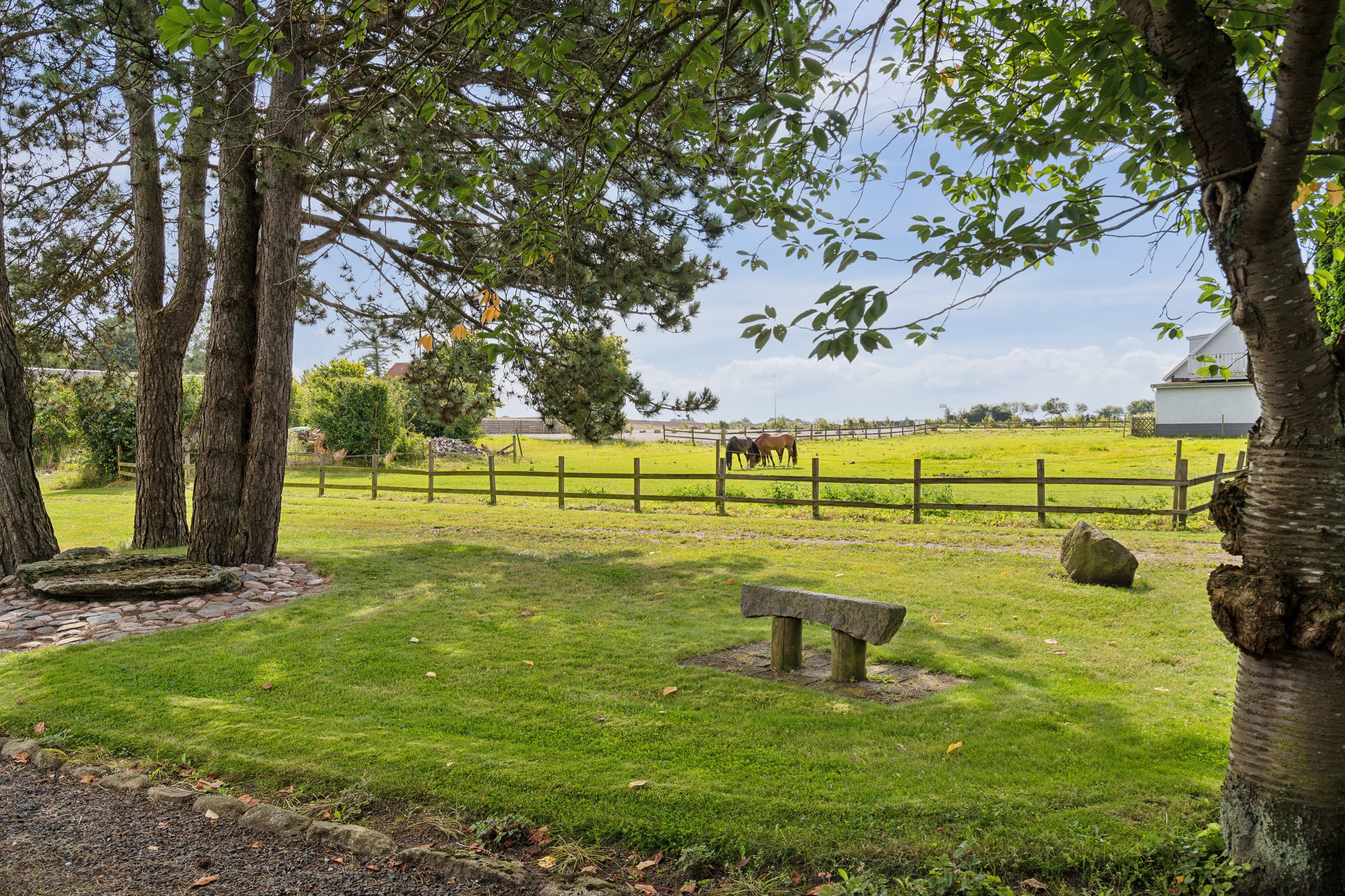 Fremhævet kig fra stuehuset billede i fuldskærmstilstand. Billede af Fuglekildevej 83A, Verninge, 5690 Tommerup
