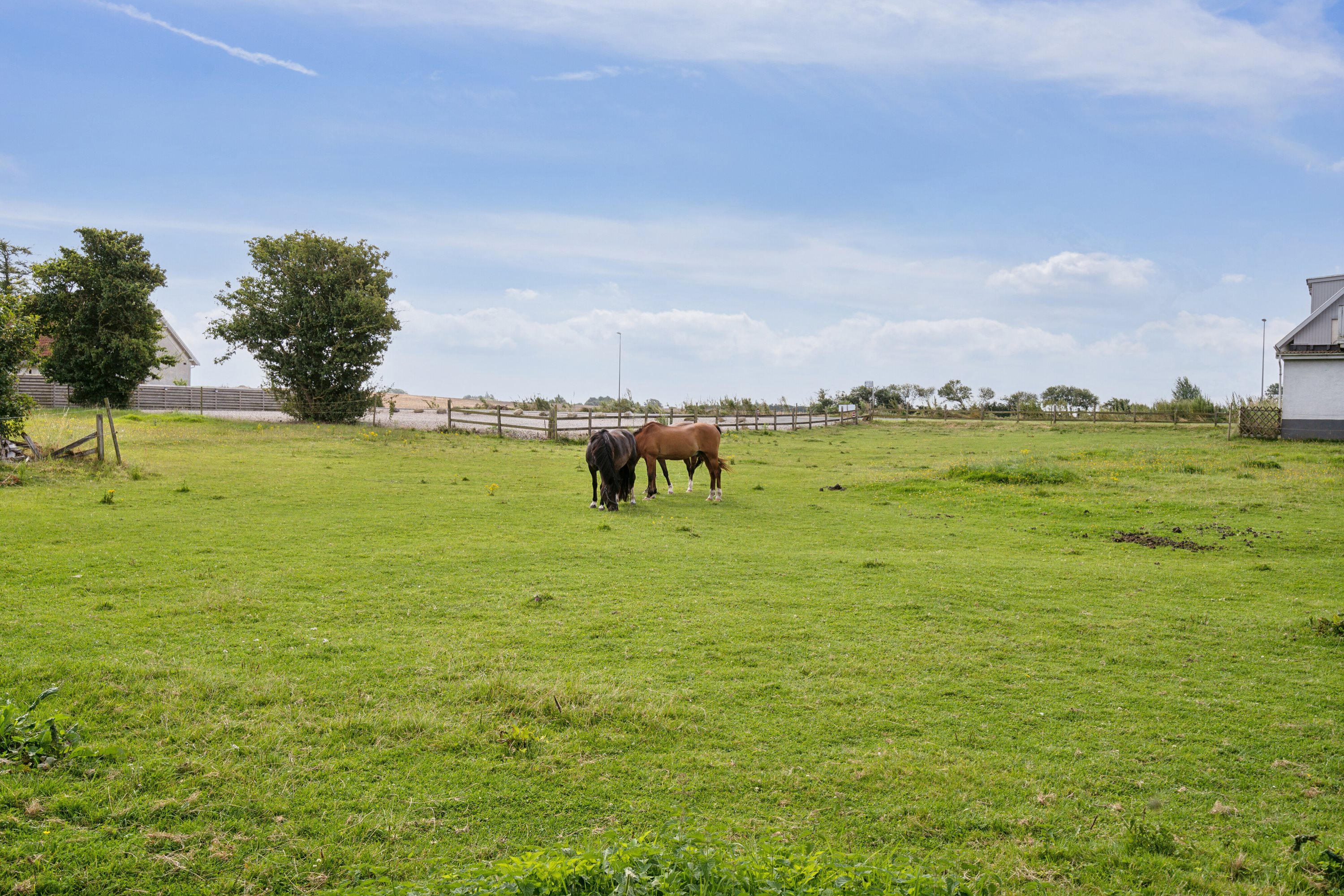 Fremhævet udsigt fra stuehus billede i fuldskærmstilstand. Billede af Fuglekildevej 83A, Verninge, 5690 Tommerup