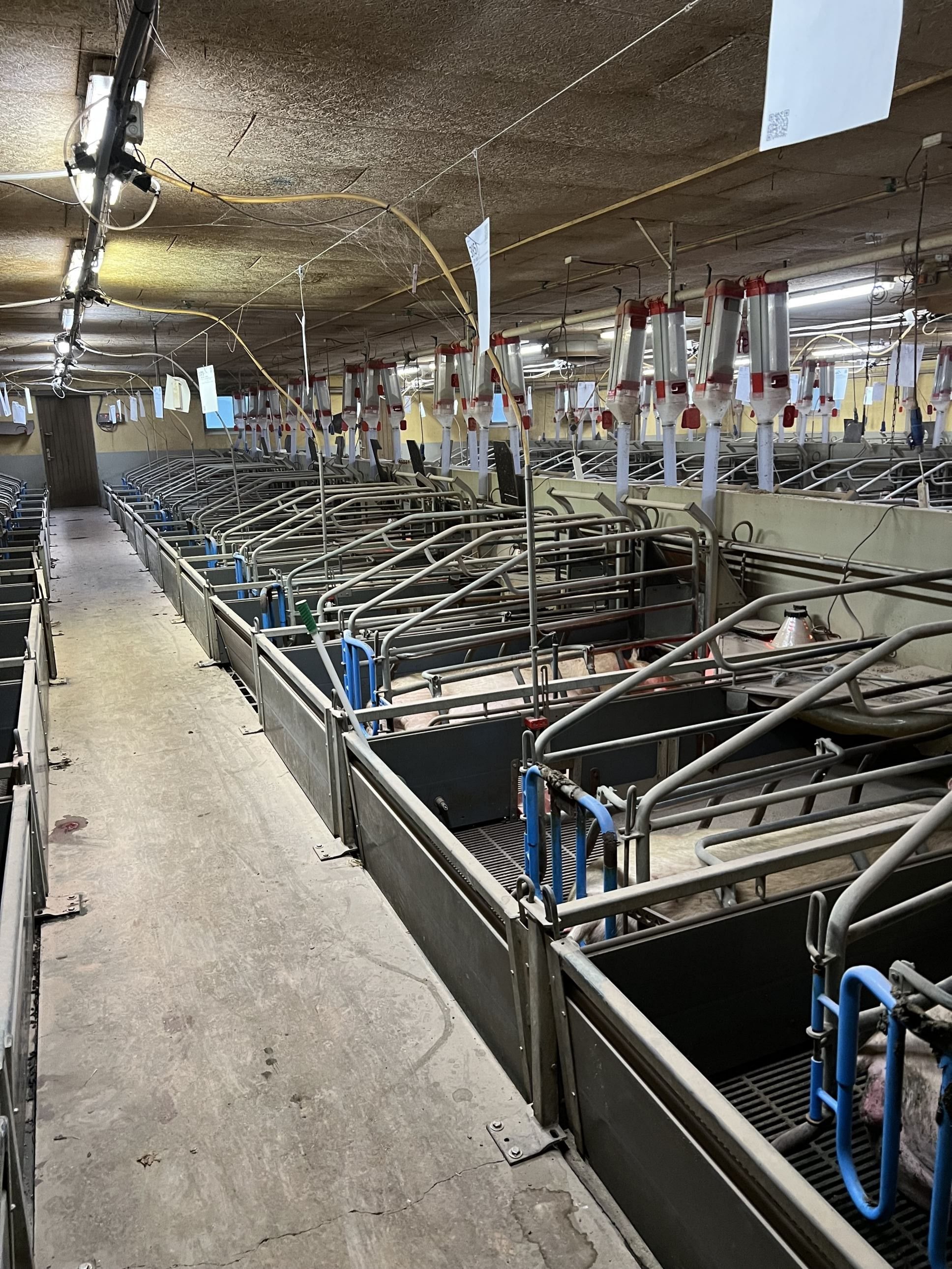 Miniaturebillede 1: . Billede af Badskærvej 60, 9352 Dybvad