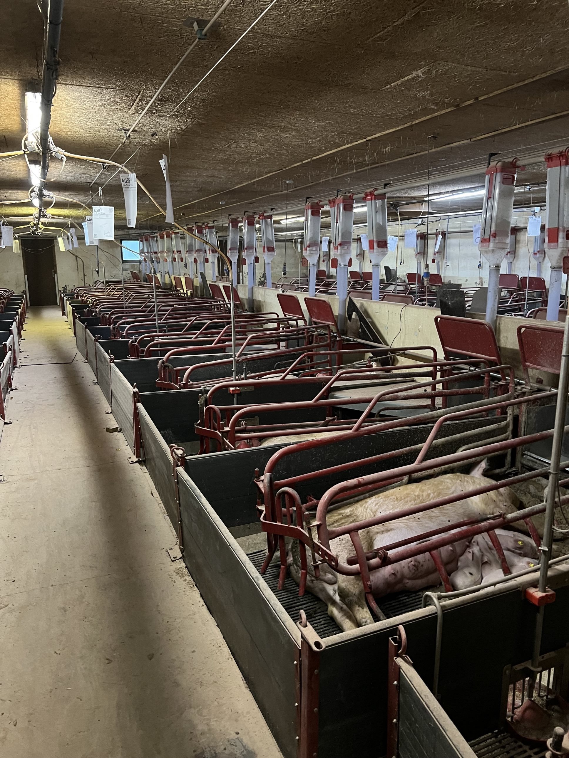 Fremhævet  billede i fuldskærmstilstand. Billede af Badskærvej 60, 9352 Dybvad