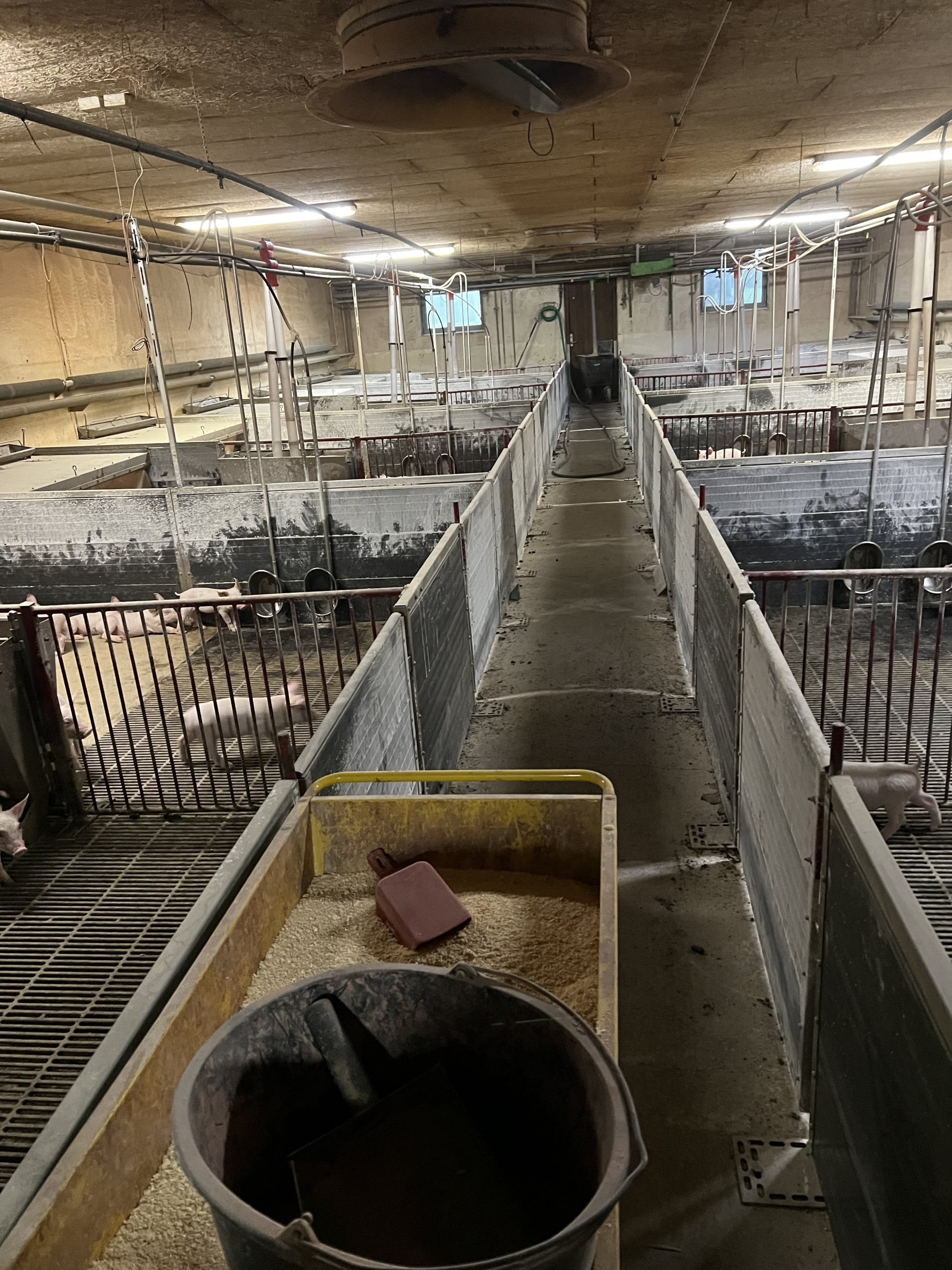 Fremhævet  billede i fuldskærmstilstand. Billede af Badskærvej 60, 9352 Dybvad