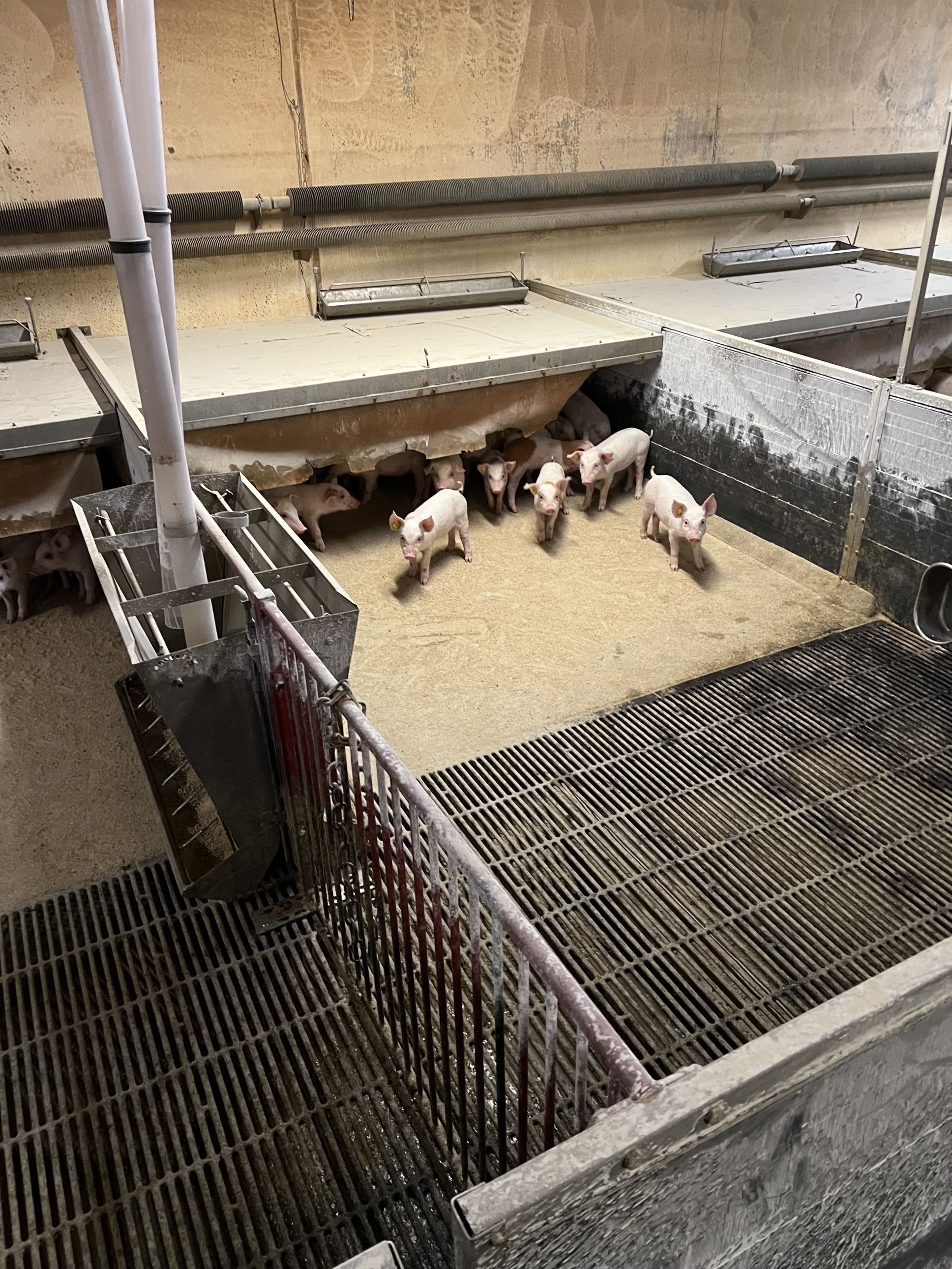 Fremhævet  billede i fuldskærmstilstand. Billede af Badskærvej 60, 9352 Dybvad