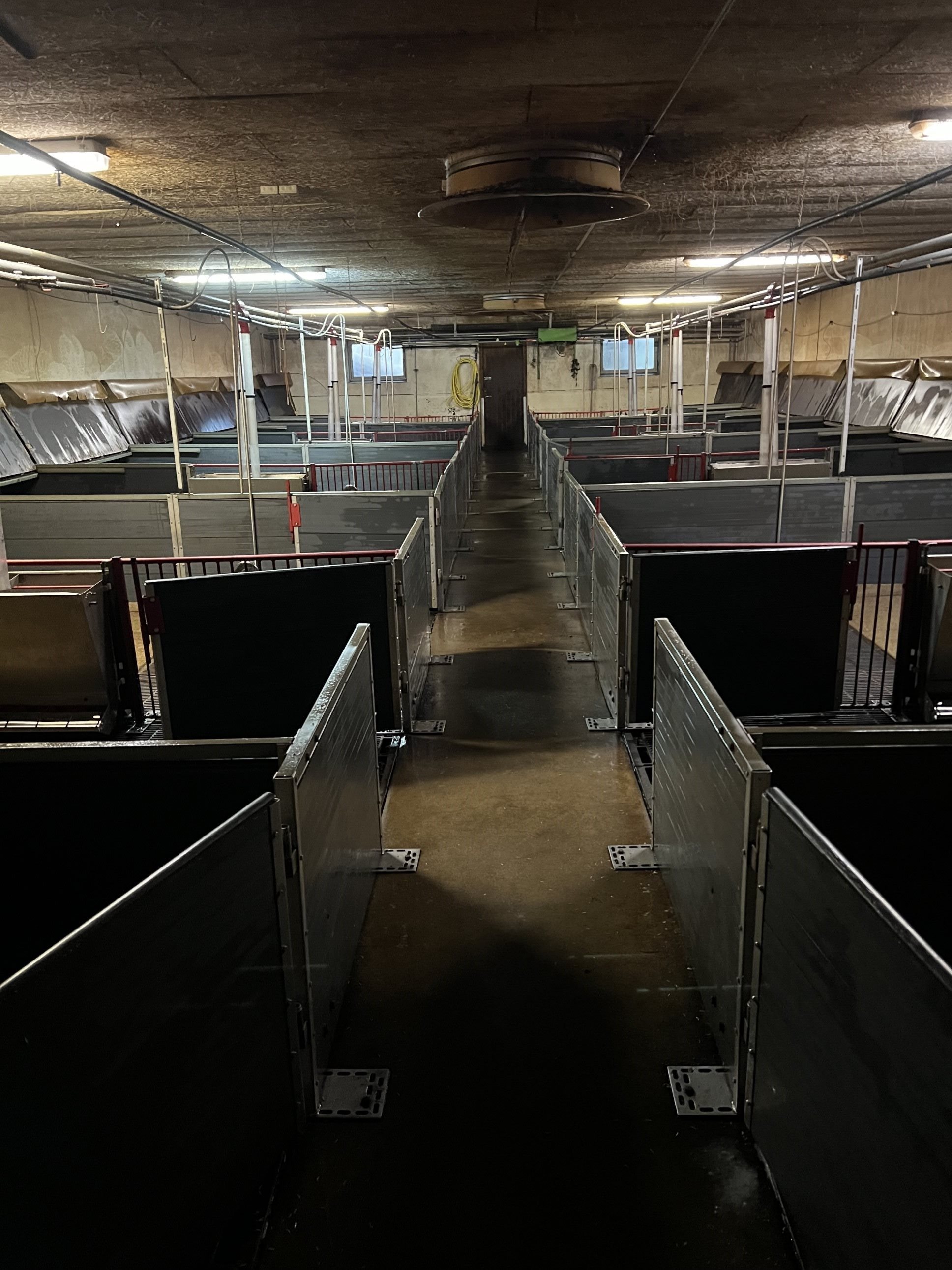 Fremhævet  billede i fuldskærmstilstand. Billede af Badskærvej 60, 9352 Dybvad