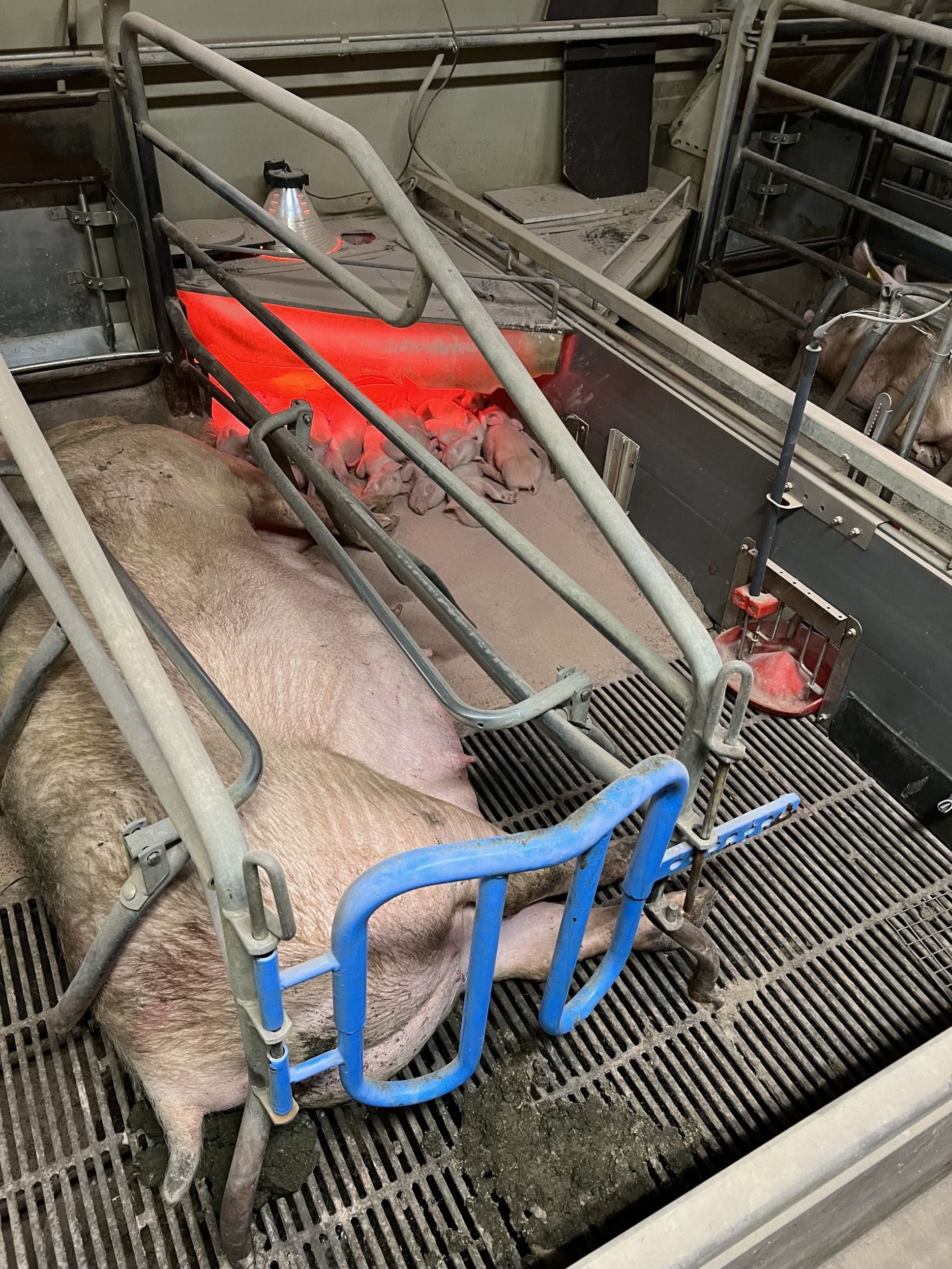 Fremhævet  billede i fuldskærmstilstand. Billede af Badskærvej 60, 9352 Dybvad