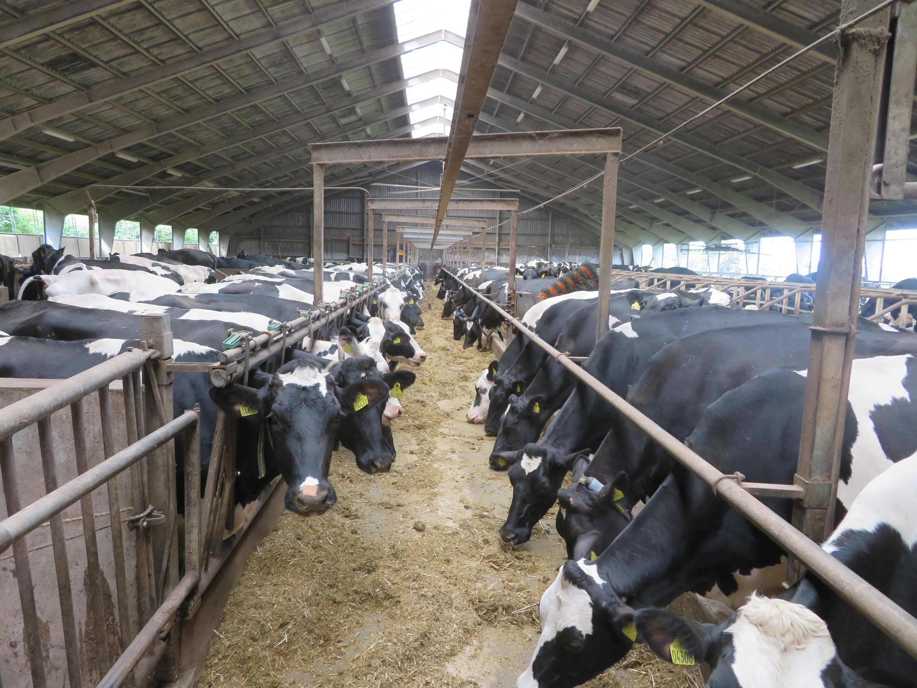 Miniaturebillede 1: . Billede af Dalsagervej 1, Dalsgårde, 8500 Grenaa