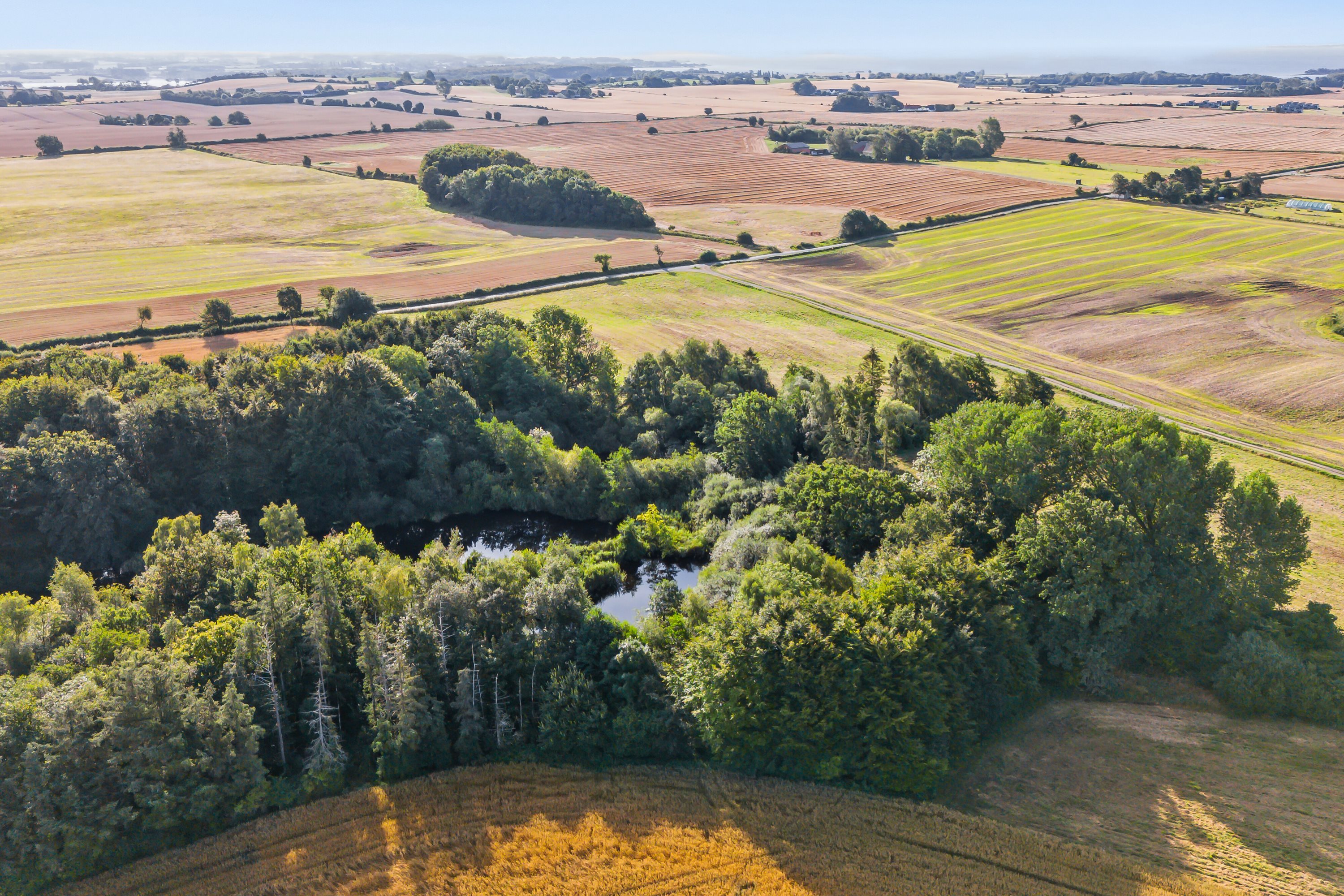 Fremhævet søen i skoven billede i fuldskærmstilstand. Billede af Svendborgvej 284, og 270A, Åstrup, 5600 Faaborg