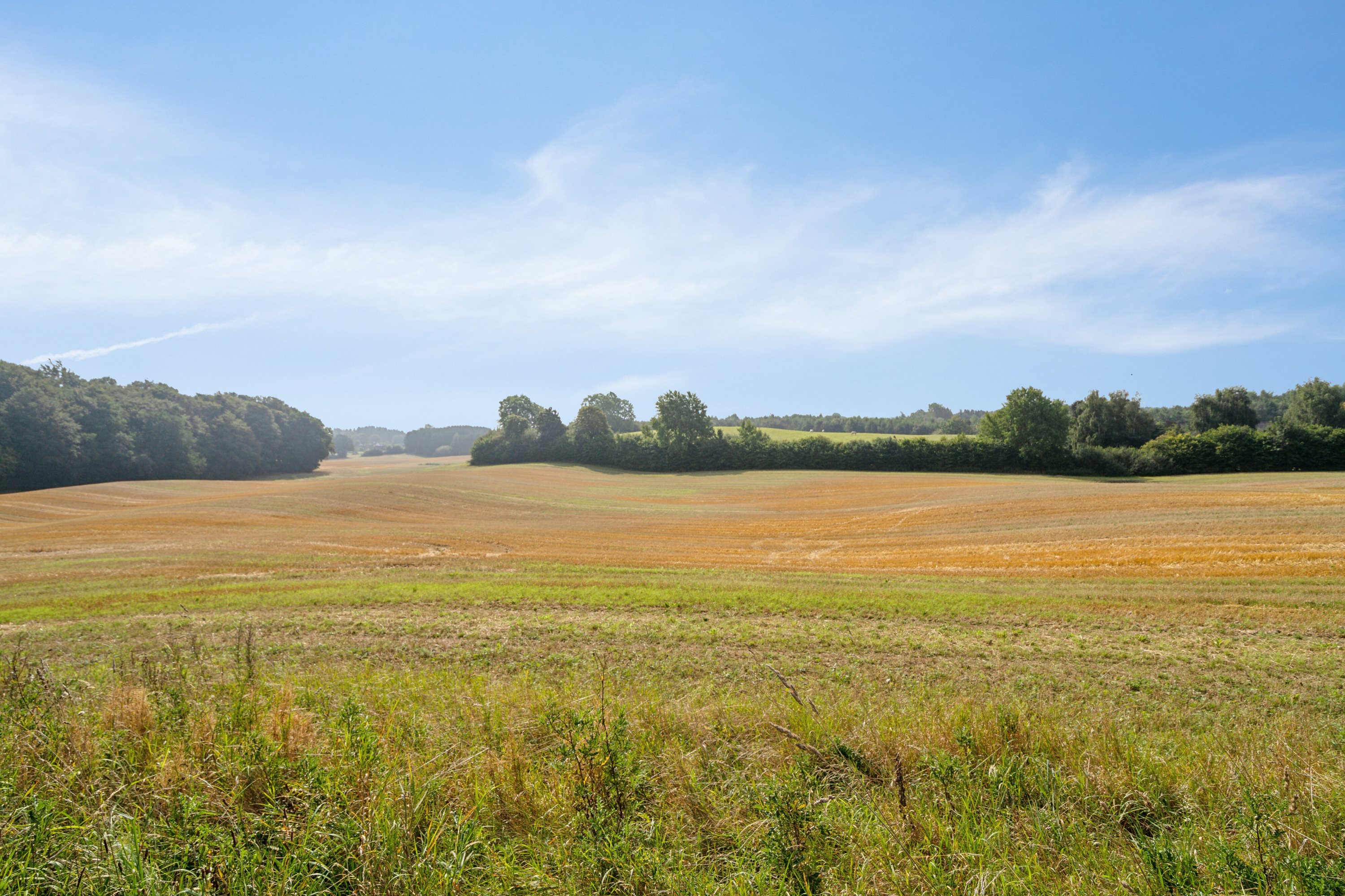 Fremhævet udendørs billede i fuldskærmstilstand. Billede af Himmelstrupvej 27, Himmelstrup, 5462 Morud