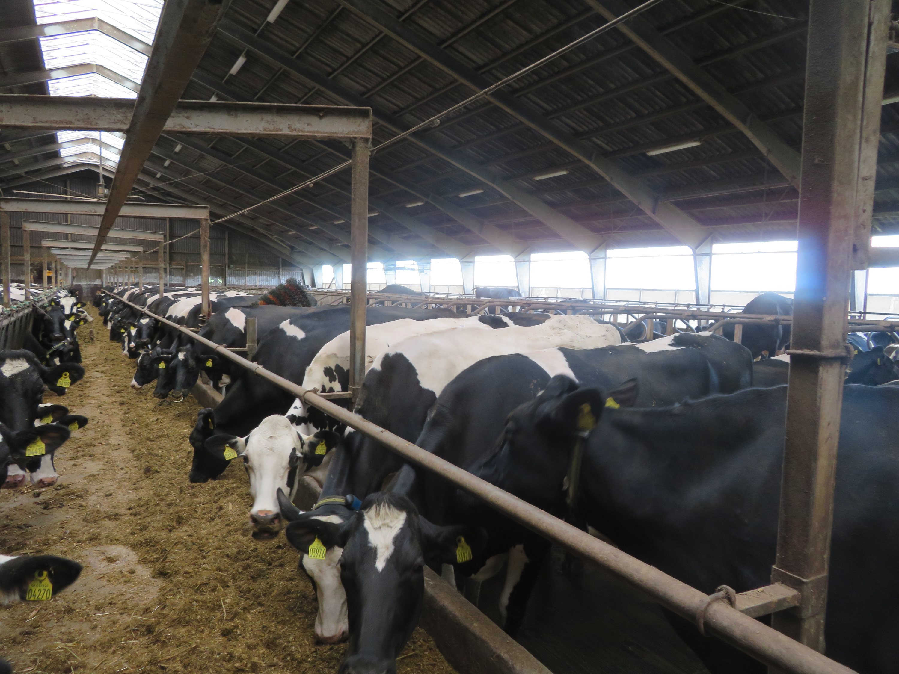 Fremhævet  billede i fuldskærmstilstand. Billede af Dalsagervej 1, Dalsgårde, 8500 Grenaa