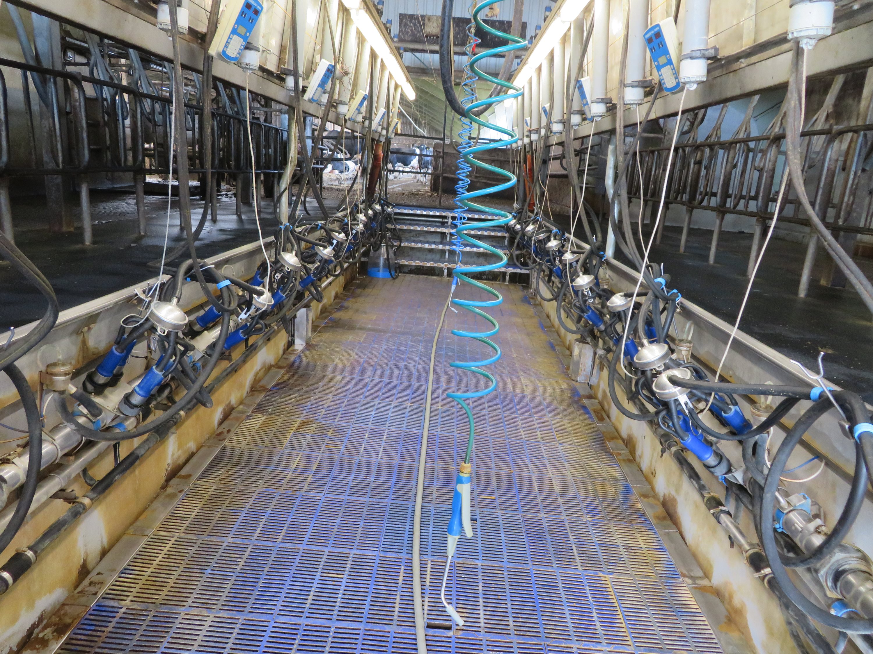 Fremhævet  billede i fuldskærmstilstand. Billede af Dalsagervej 1, Dalsgårde, 8500 Grenaa