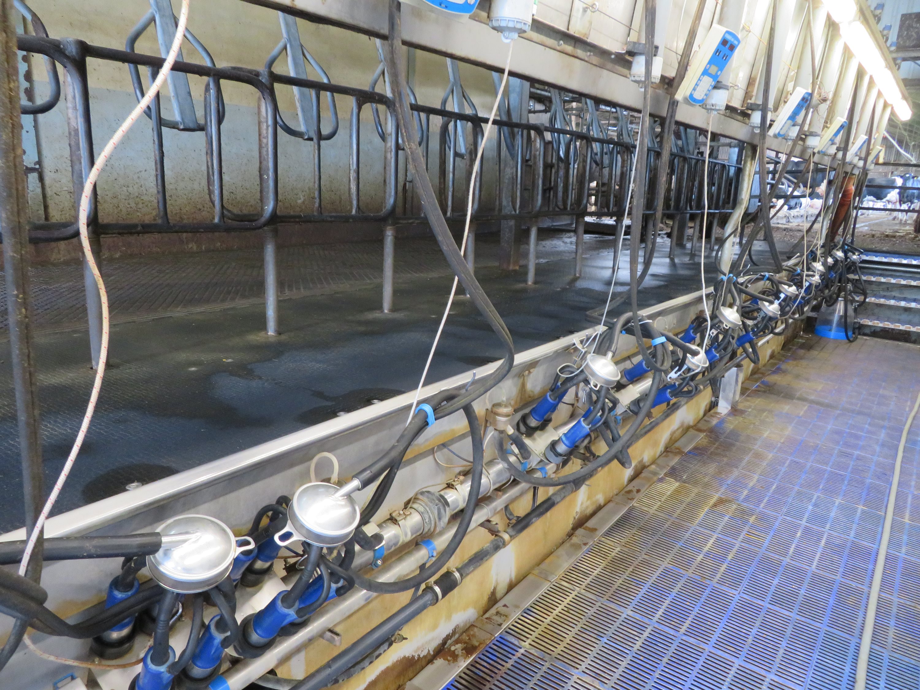 Fremhævet  billede i fuldskærmstilstand. Billede af Dalsagervej 1, Dalsgårde, 8500 Grenaa