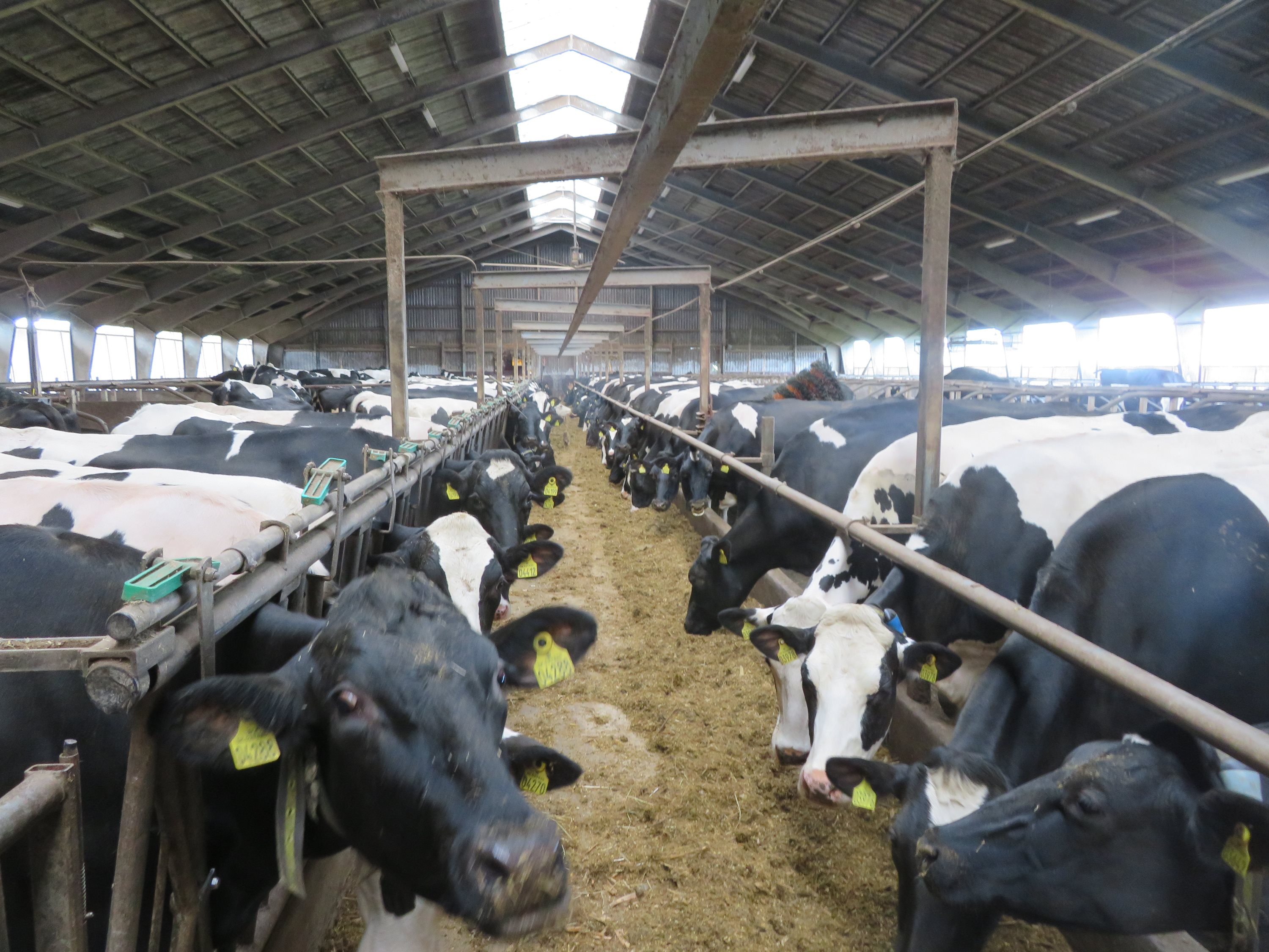 Fremhævet  billede i fuldskærmstilstand. Billede af Dalsagervej 1, Dalsgårde, 8500 Grenaa