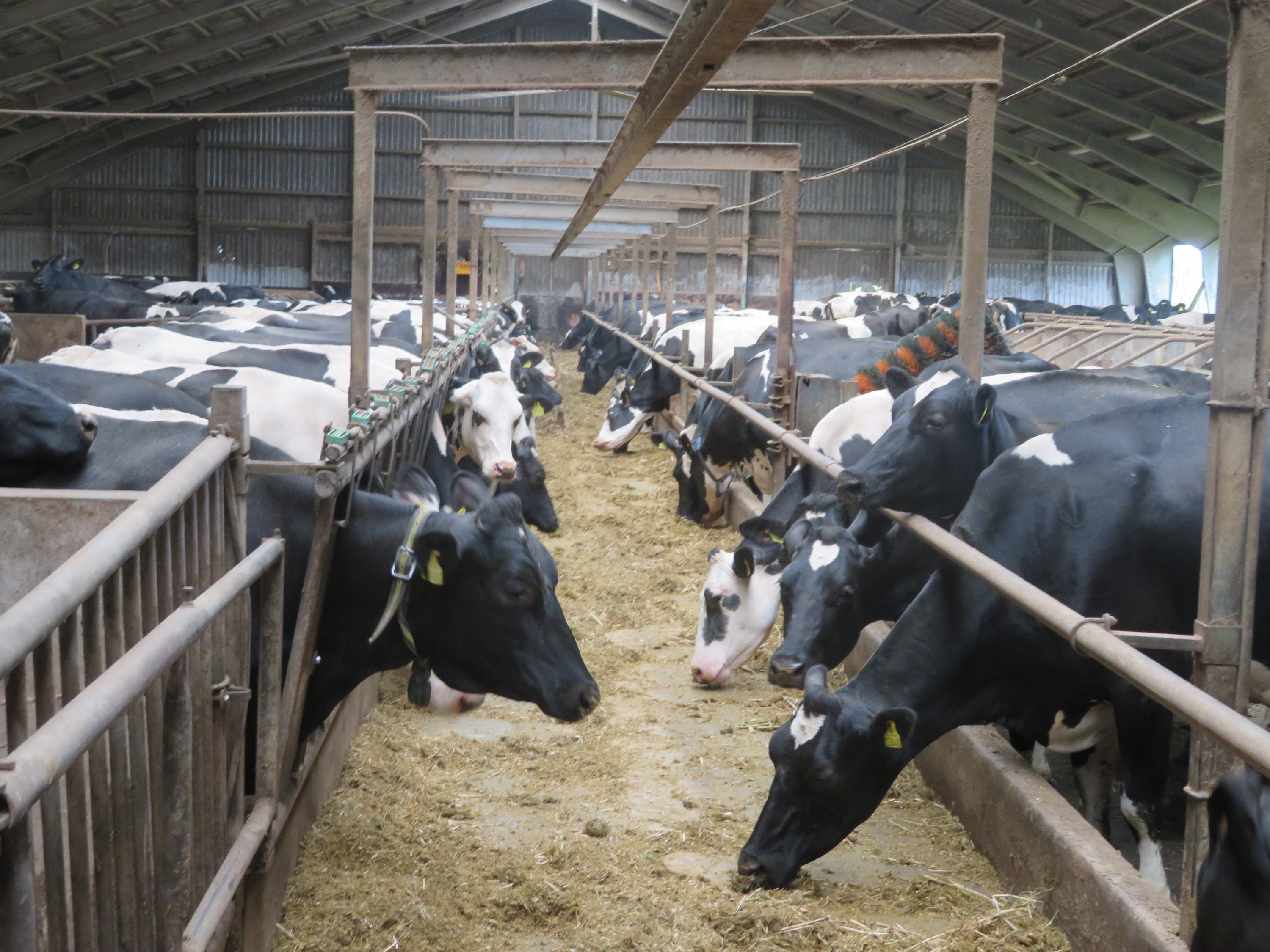 Miniaturebillede 2: . Billede af Dalsagervej 1, Dalsgårde, 8500 Grenaa