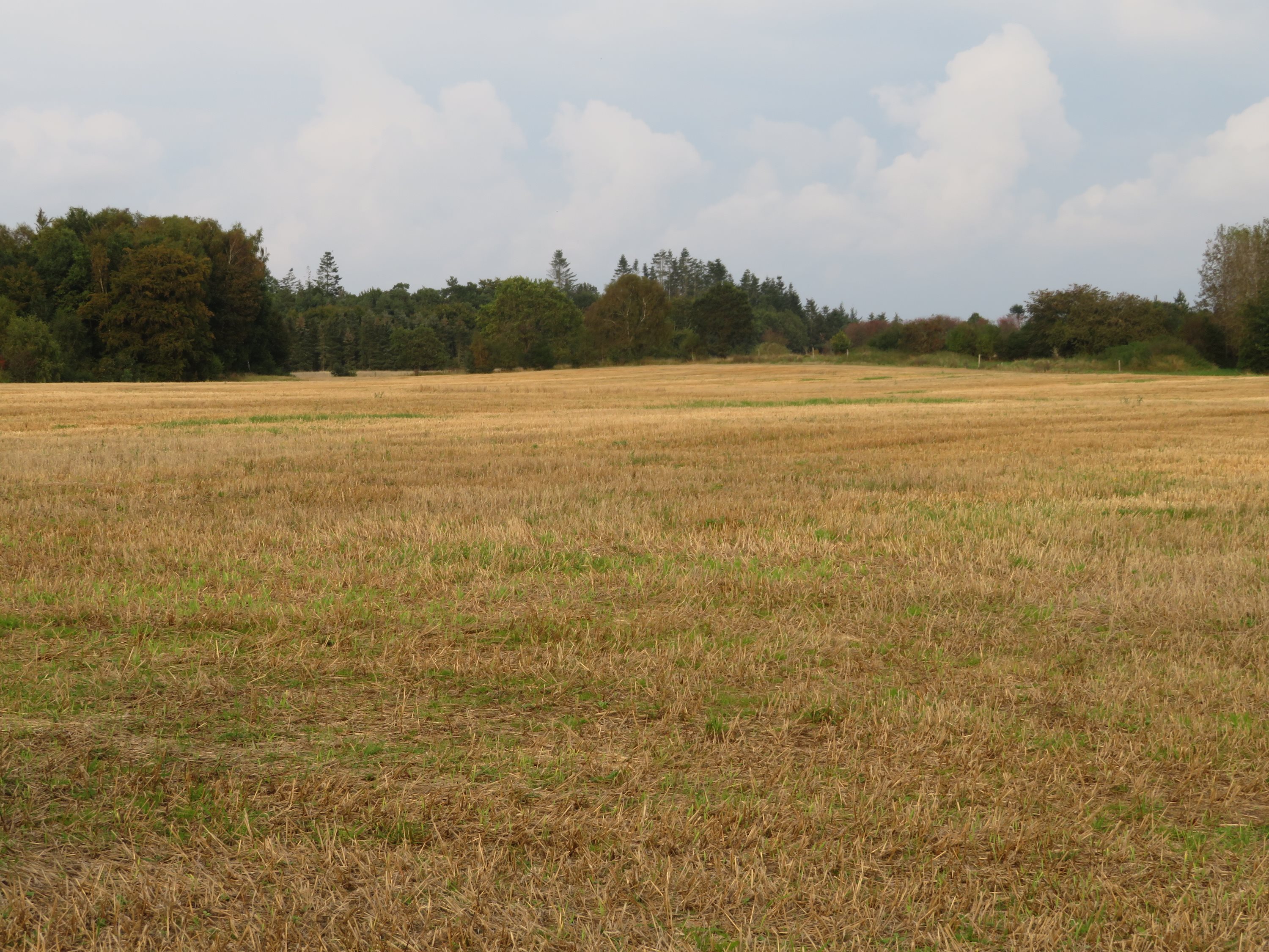 Miniaturebillede 1: . Billede af Mågårdsvej 17, 8850 Bjerringbro