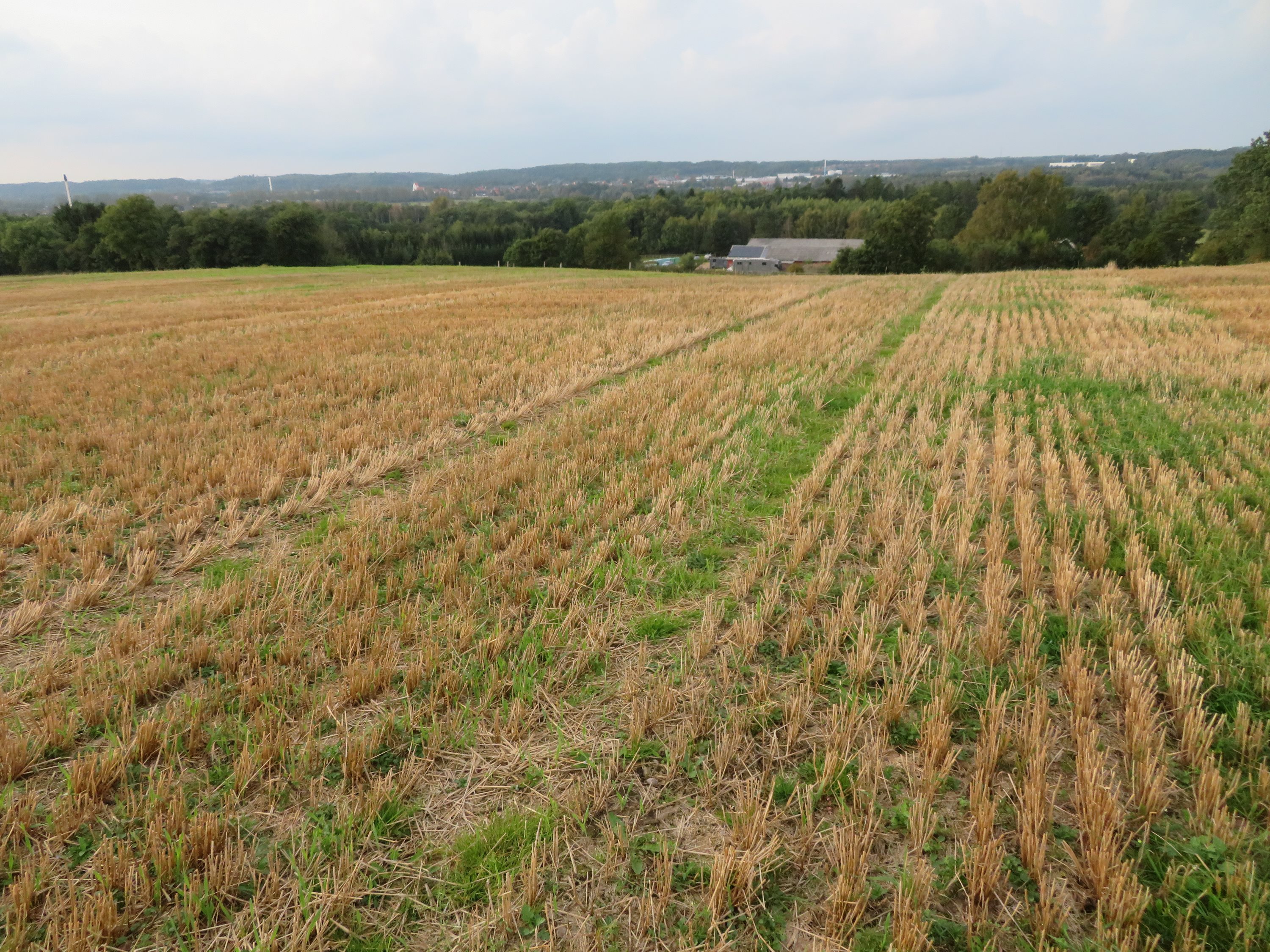 Fremhævet  billede i fuldskærmstilstand. Billede af Mågårdsvej 17, 8850 Bjerringbro