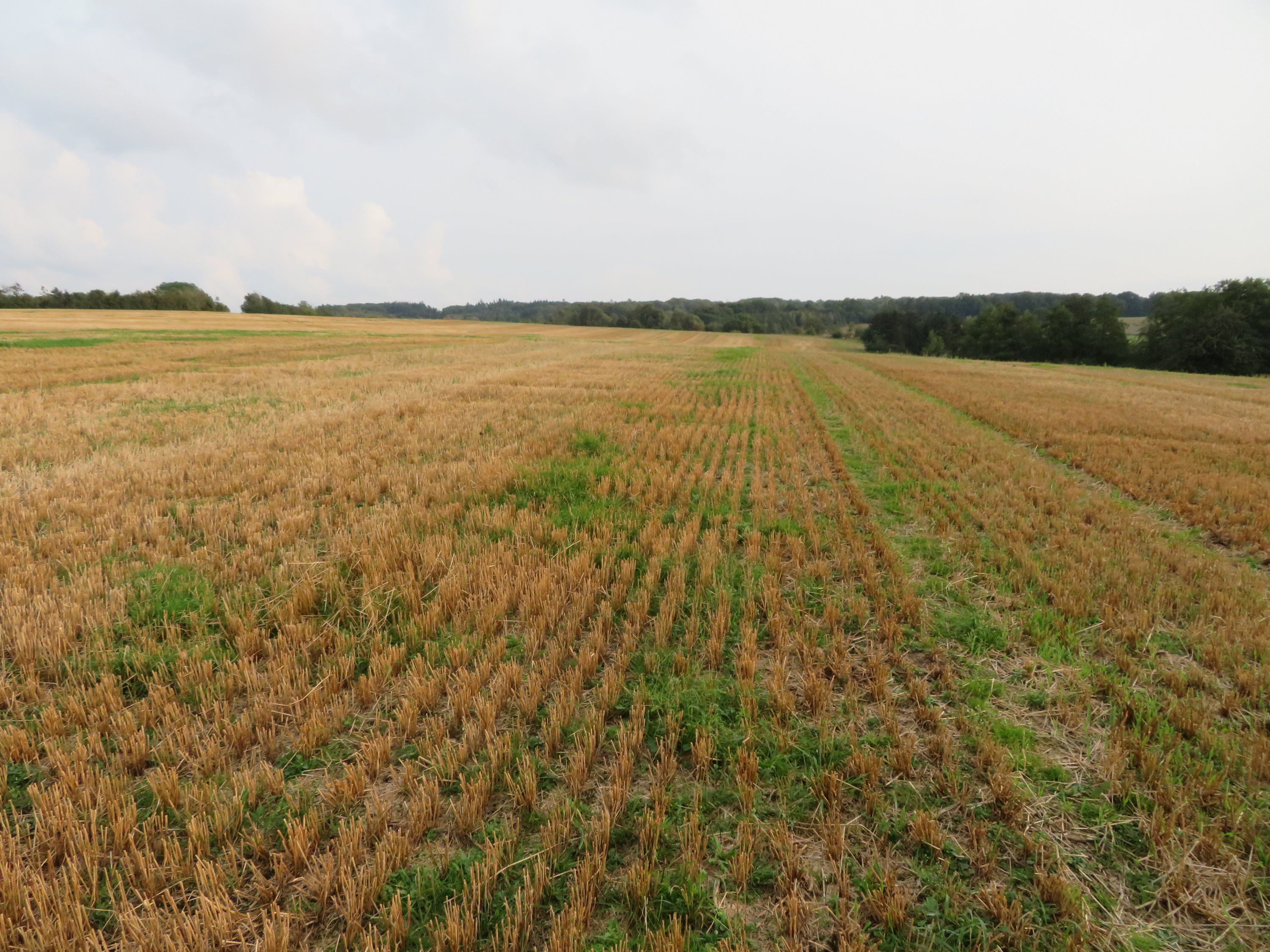 Fremhævet  billede i fuldskærmstilstand. Billede af Mågårdsvej 17, 8850 Bjerringbro