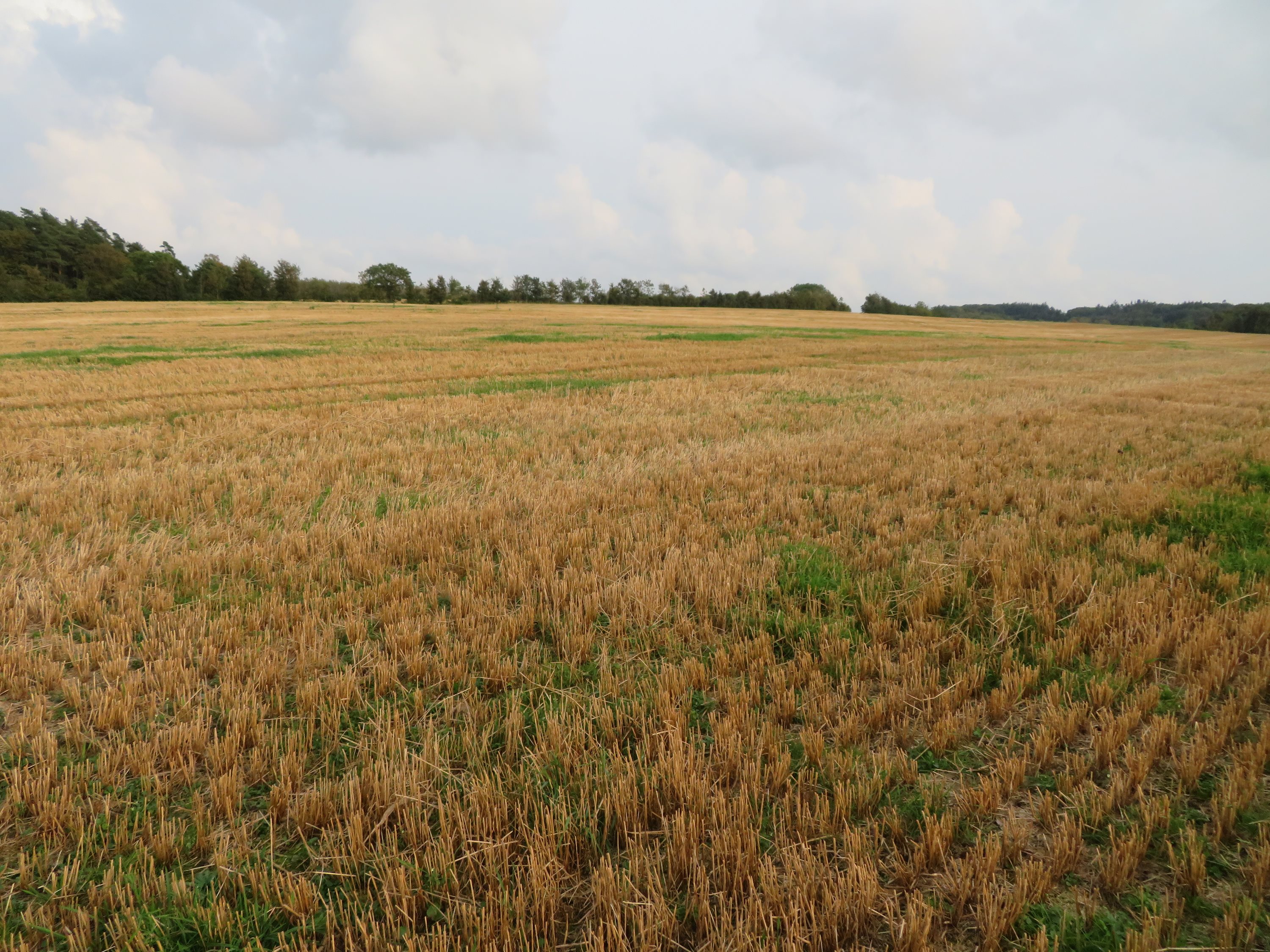 Fremhævet  billede i fuldskærmstilstand. Billede af Mågårdsvej 17, 8850 Bjerringbro