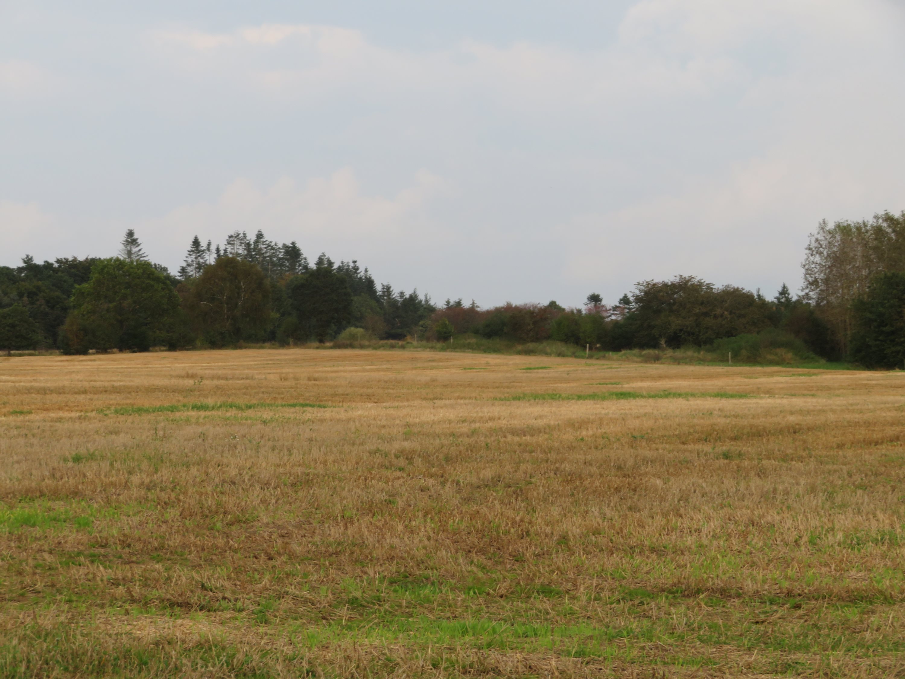 Fremhævet  billede i fuldskærmstilstand. Billede af Mågårdsvej 17, 8850 Bjerringbro
