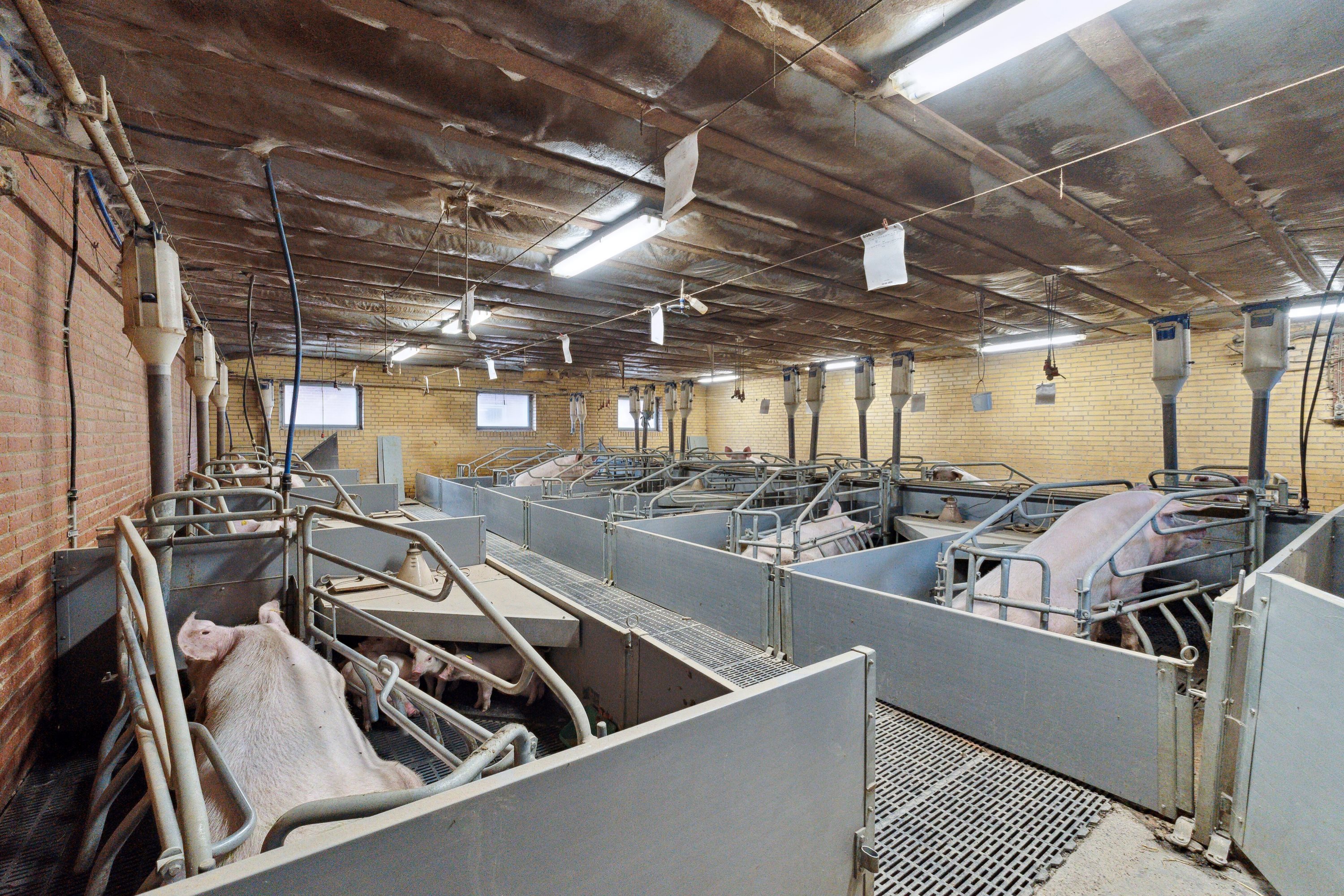 Fremhævet  billede i fuldskærmstilstand. Billede af Hjørringvej 285, 9750 Østervrå