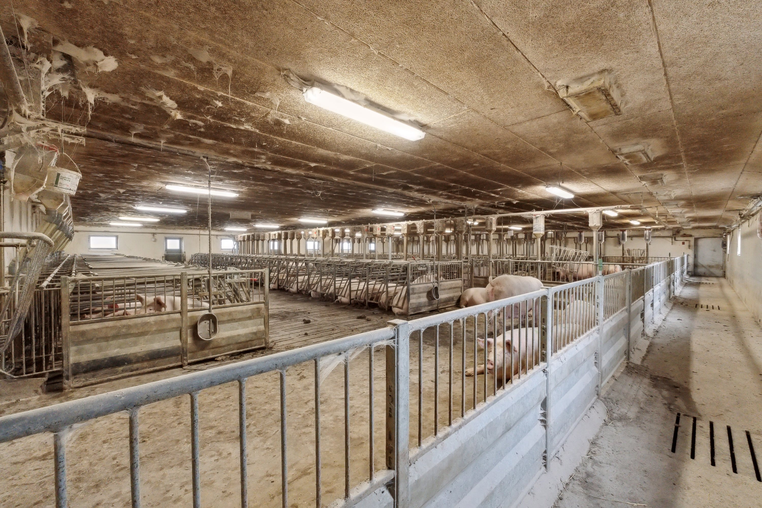 Fremhævet  billede i fuldskærmstilstand. Billede af Hjørringvej 285, 9750 Østervrå