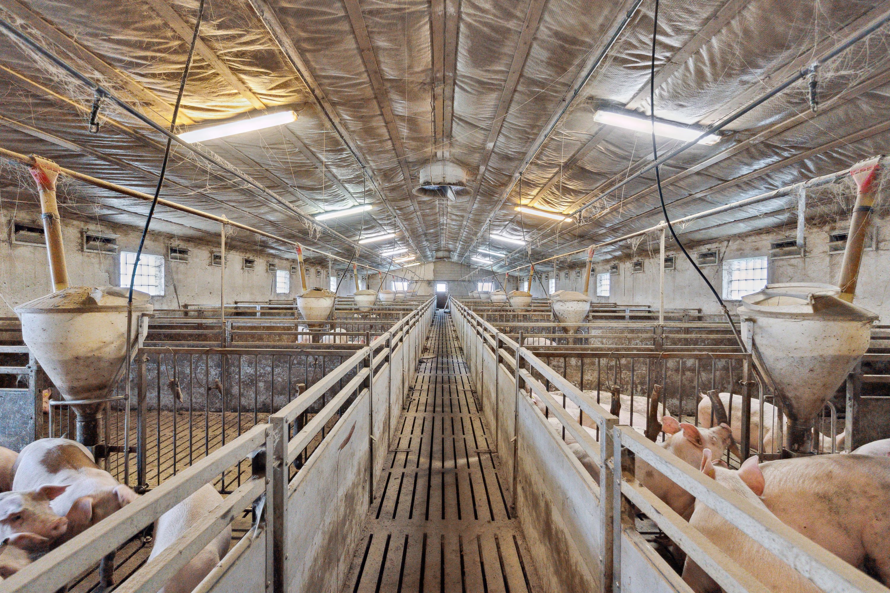 Fremhævet  billede i fuldskærmstilstand. Billede af Hjørringvej 285, 9750 Østervrå