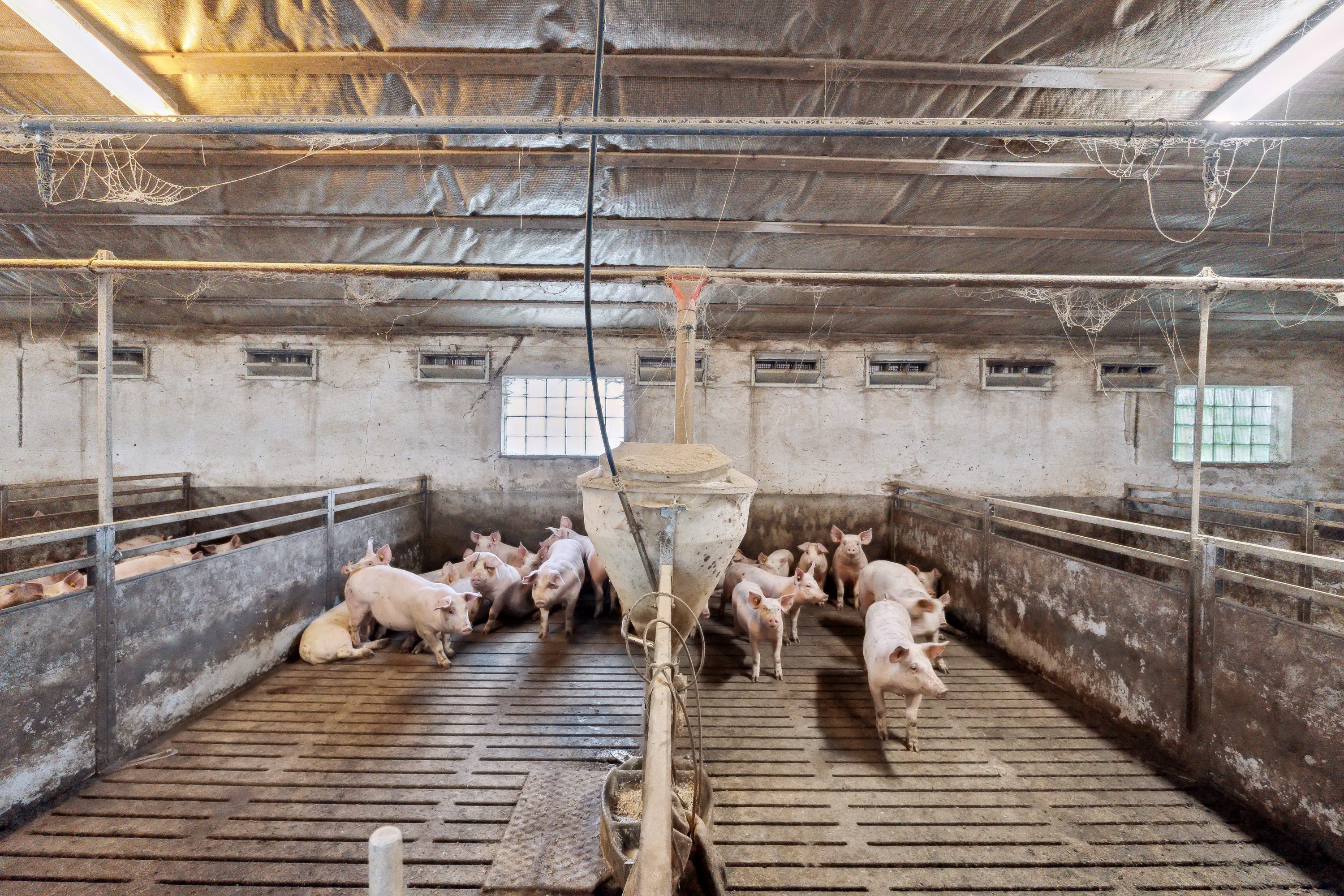 Fremhævet  billede i fuldskærmstilstand. Billede af Hjørringvej 285, 9750 Østervrå