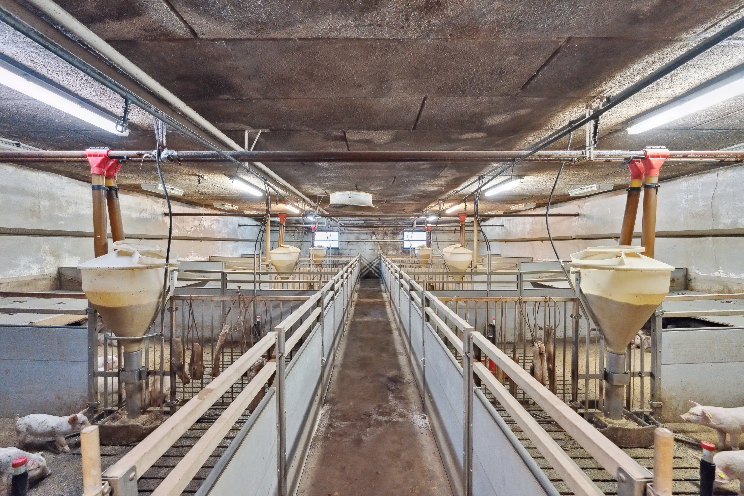 Fremhævet  billede i fuldskærmstilstand. Billede af Hjørringvej 285, 9750 Østervrå