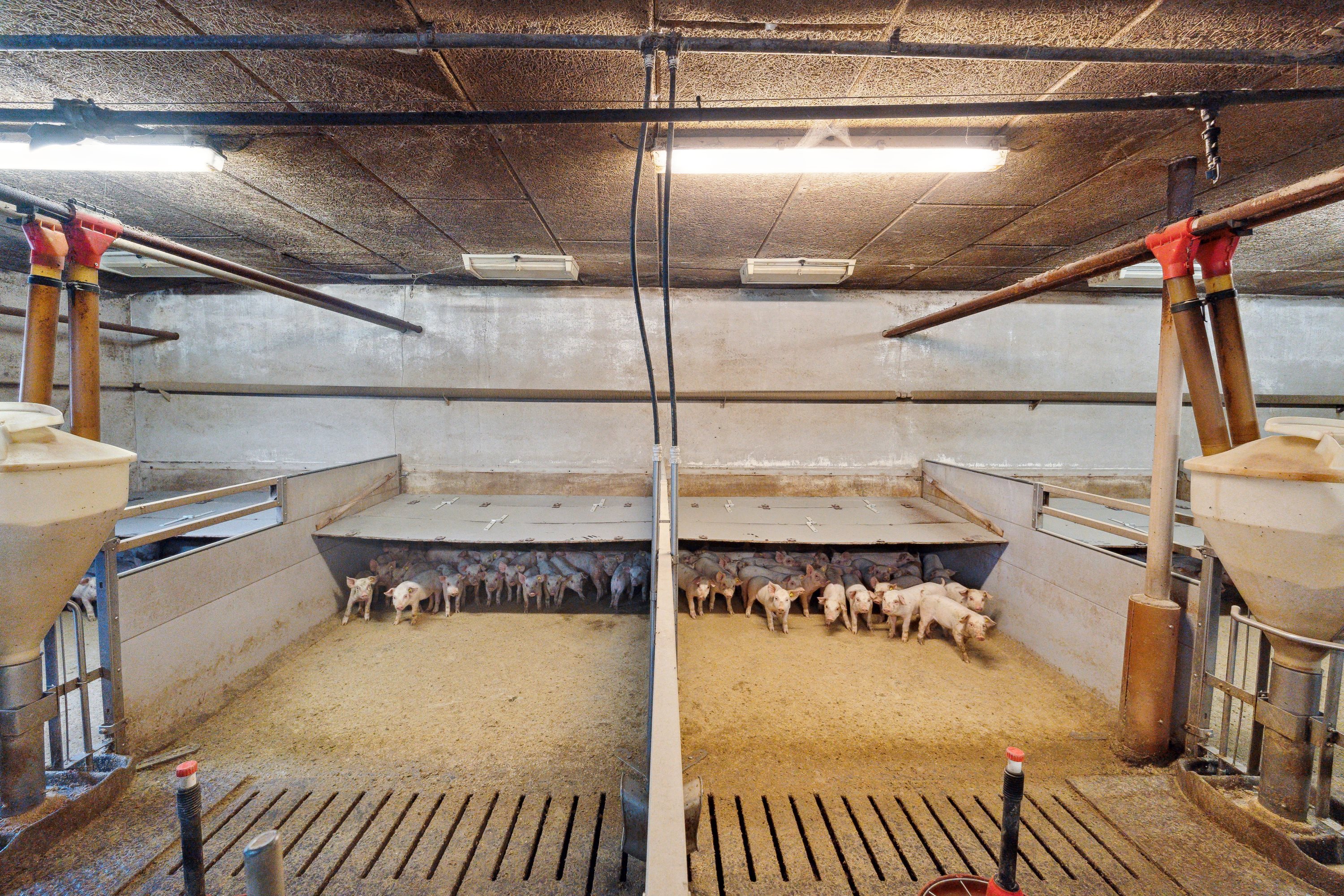 Fremhævet  billede i fuldskærmstilstand. Billede af Hjørringvej 285, 9750 Østervrå