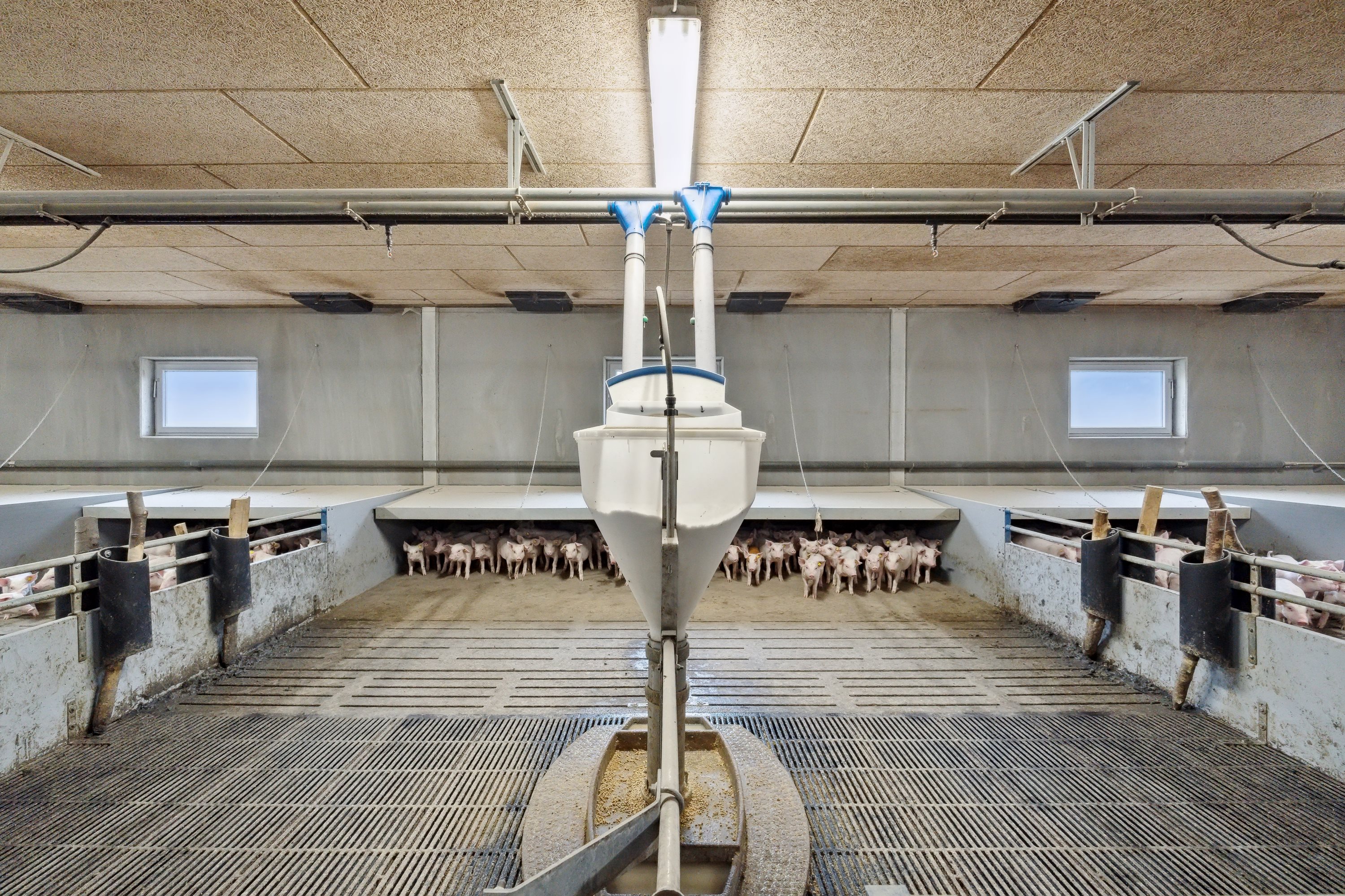 Fremhævet  billede i fuldskærmstilstand. Billede af Hjørringvej 285, 9750 Østervrå