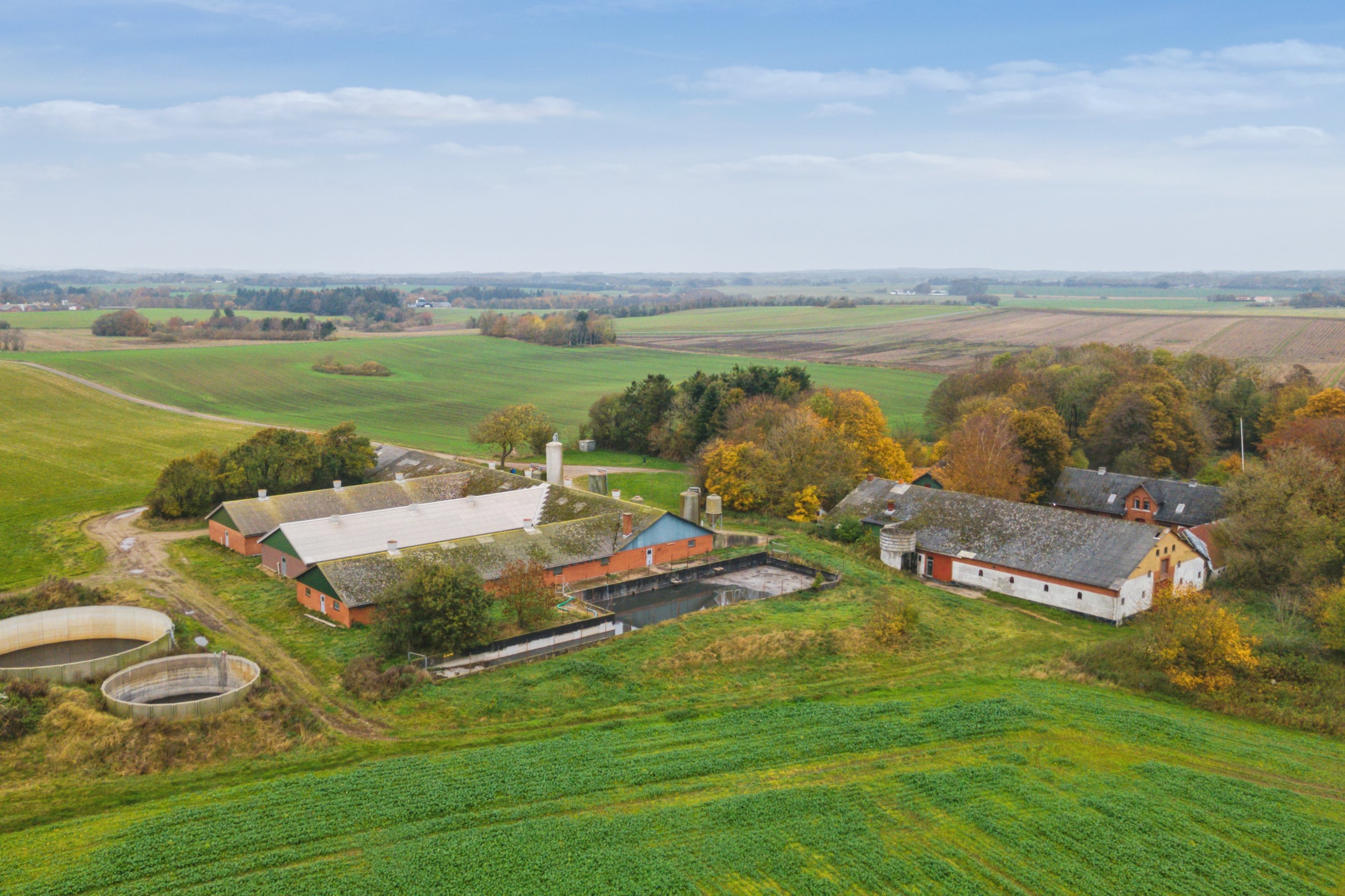 Fremhævet  billede i fuldskærmstilstand. Billede af Hjørringvej 285, 9750 Østervrå