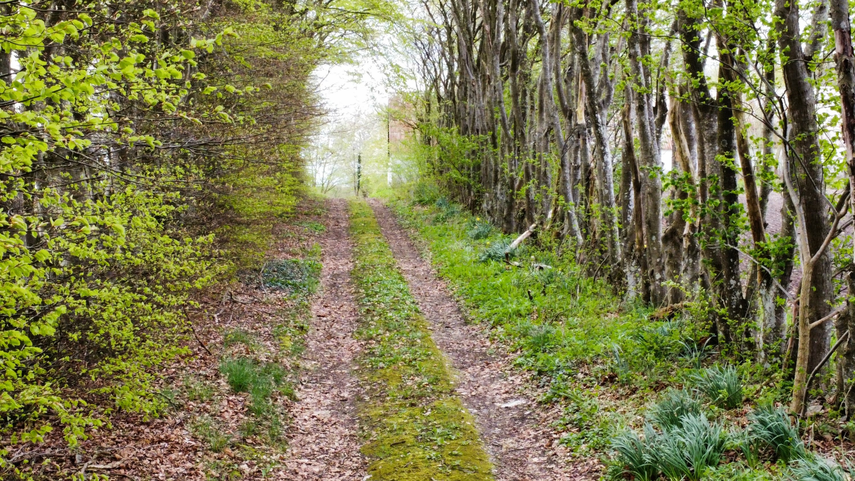 Fremhævet  billede i fuldskærmstilstand. Billede af Nyrupvej 28, Nyrup, 9600 Aars