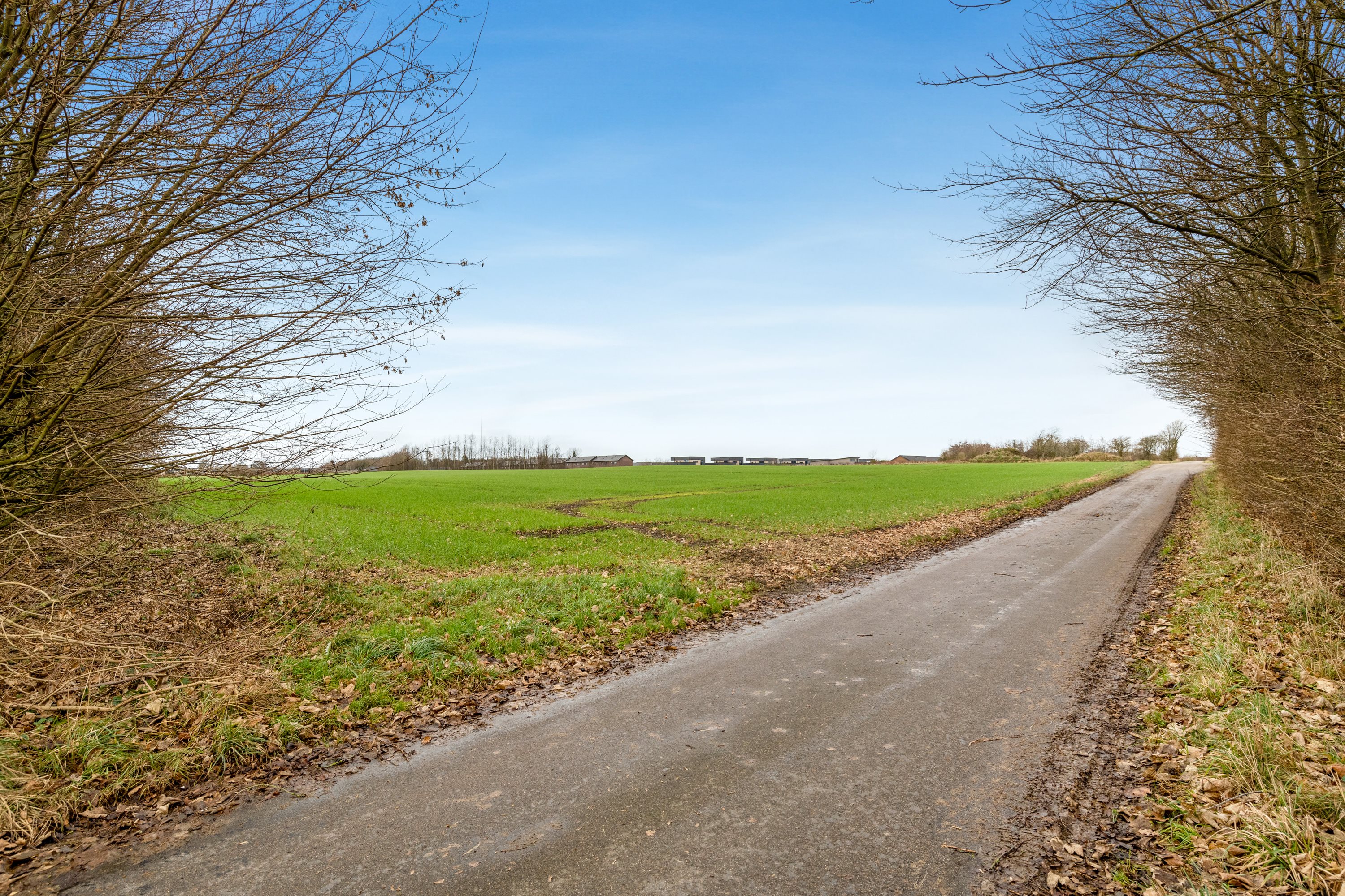 Fremhævet jordtilliggende billede i fuldskærmstilstand. Billede af Lægårdvej 109, 7500 Holstebro