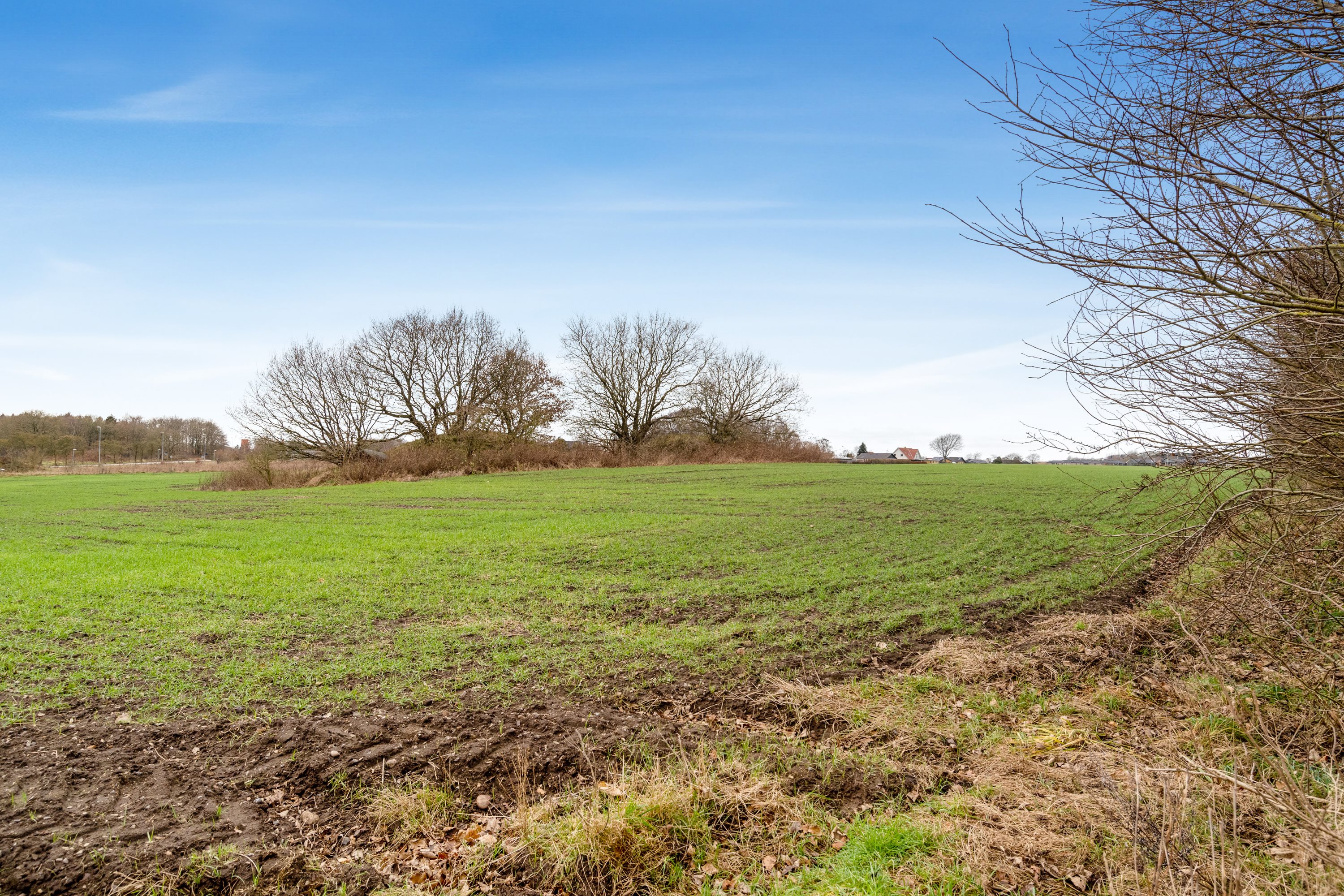 Fremhævet jordtilliggende billede i fuldskærmstilstand. Billede af Lægårdvej 109, 7500 Holstebro