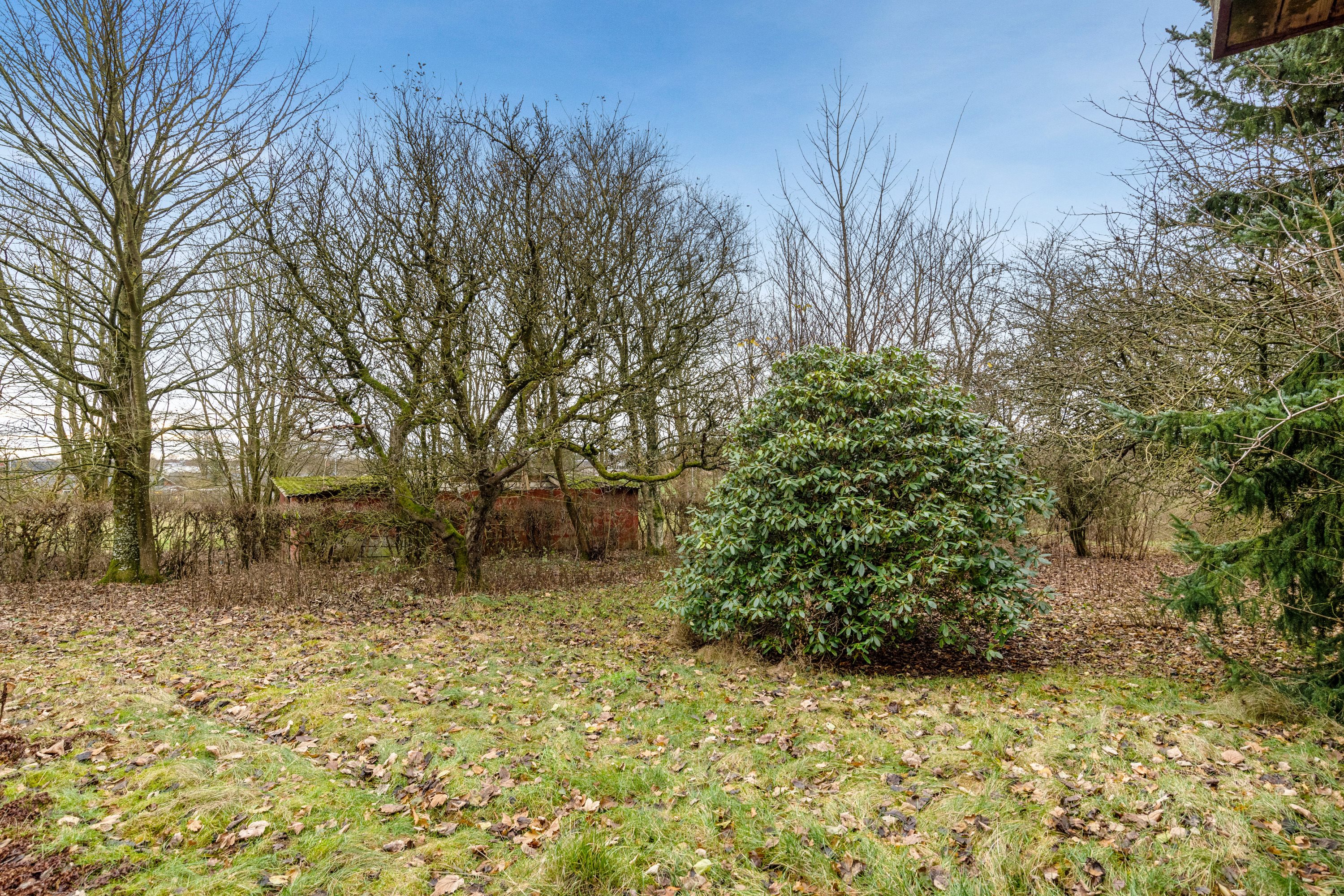 Fremhævet have billede i fuldskærmstilstand. Billede af Lægårdvej 109, 7500 Holstebro