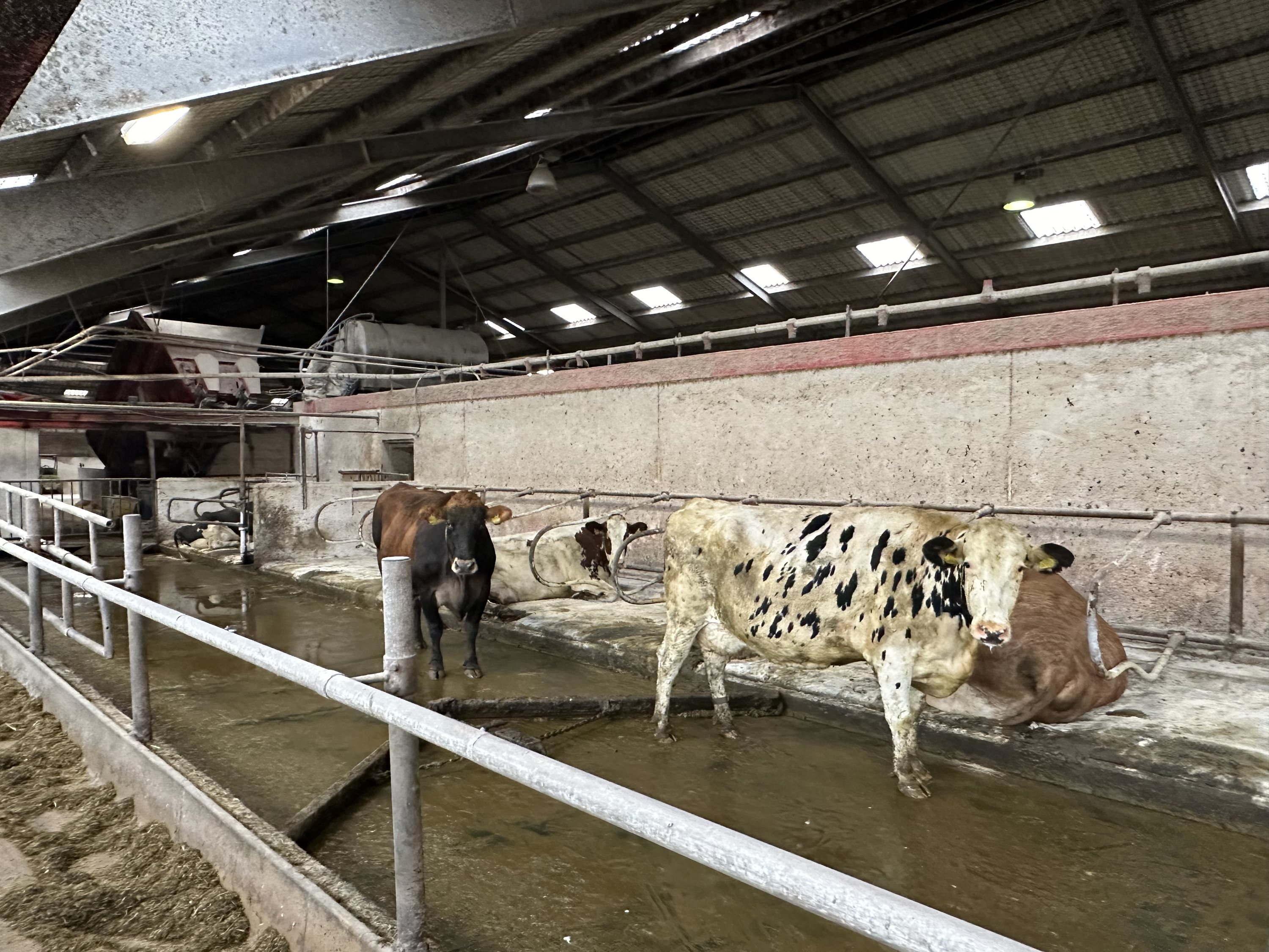 Fremhævet  billede i fuldskærmstilstand. Billede af Nørlev Strandvej 130, 9800 Hjørring