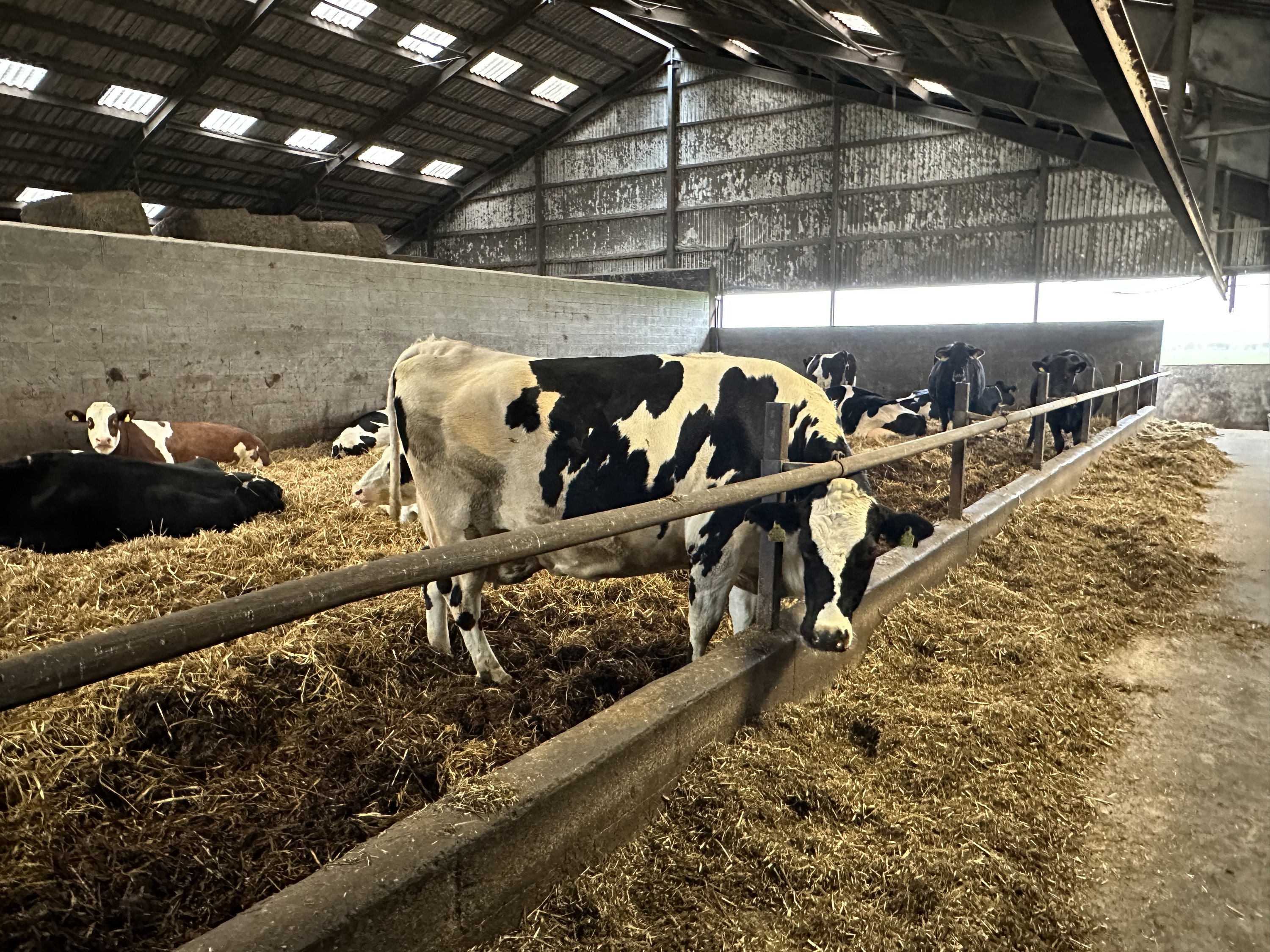 Fremhævet  billede i fuldskærmstilstand. Billede af Nørlev Strandvej 130, 9800 Hjørring