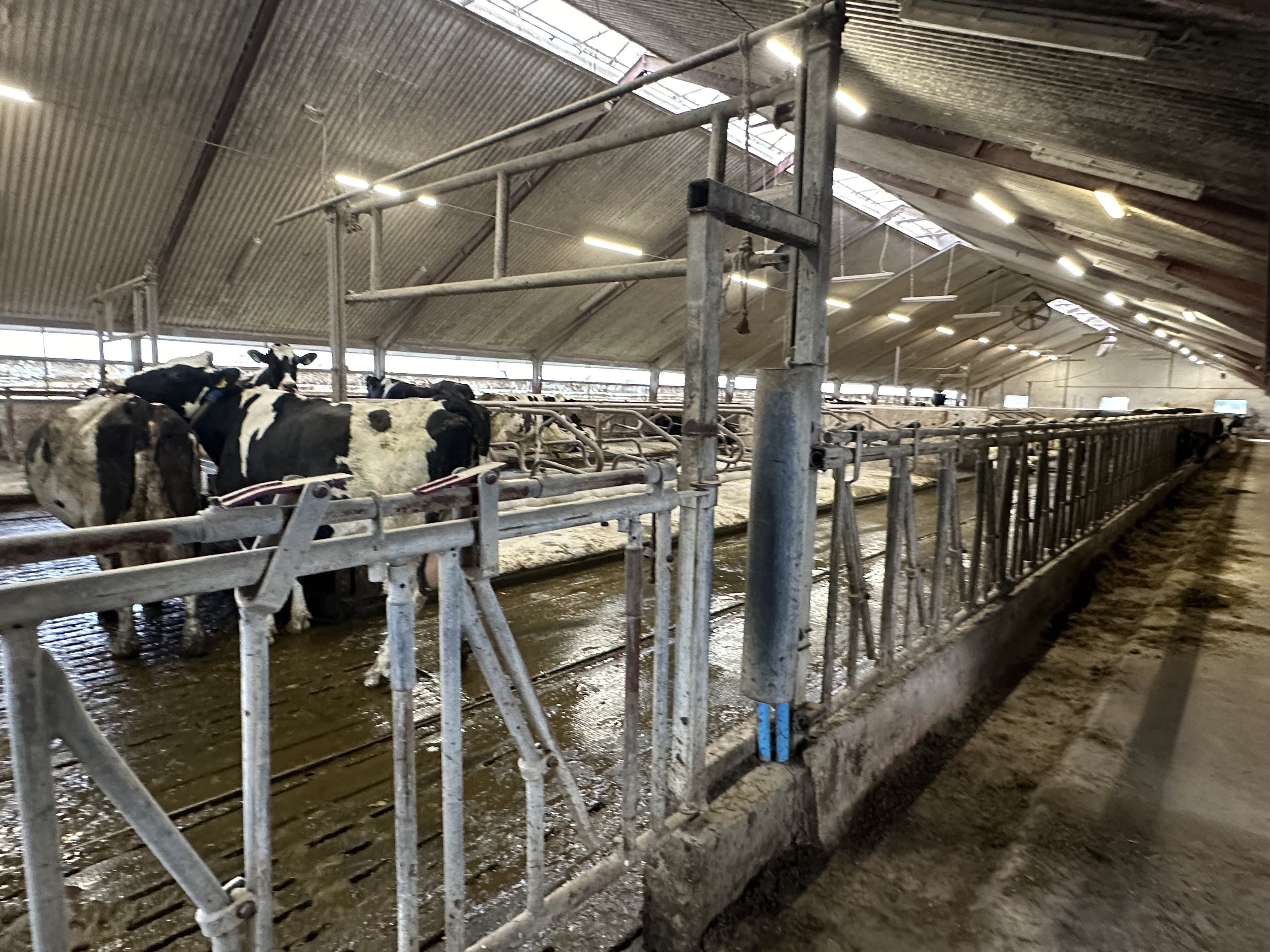 Fremhævet  billede i fuldskærmstilstand. Billede af Nørlev Strandvej 130, 9800 Hjørring