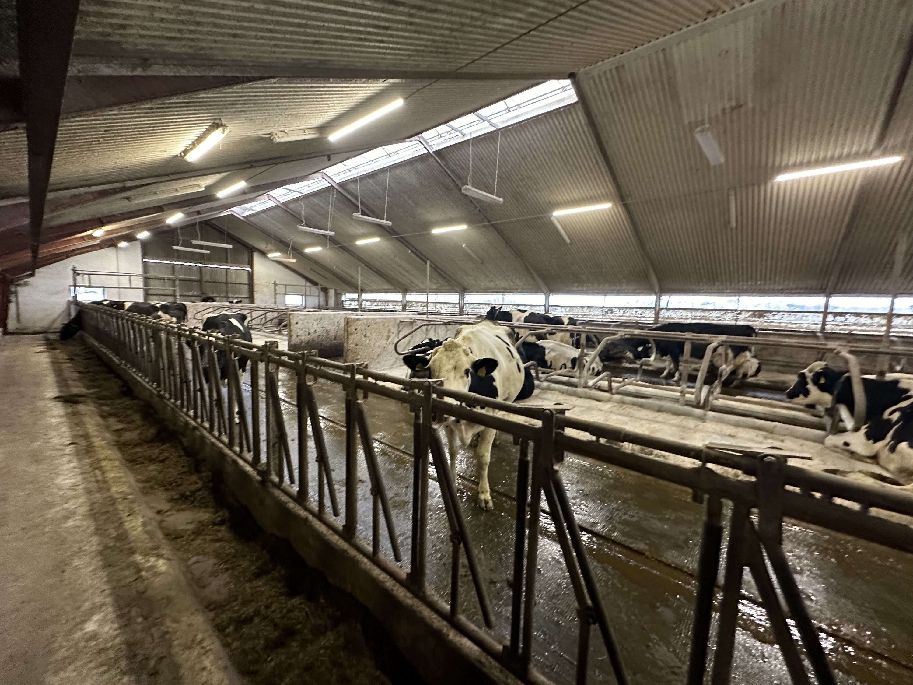 Fremhævet  billede i fuldskærmstilstand. Billede af Nørlev Strandvej 130, 9800 Hjørring